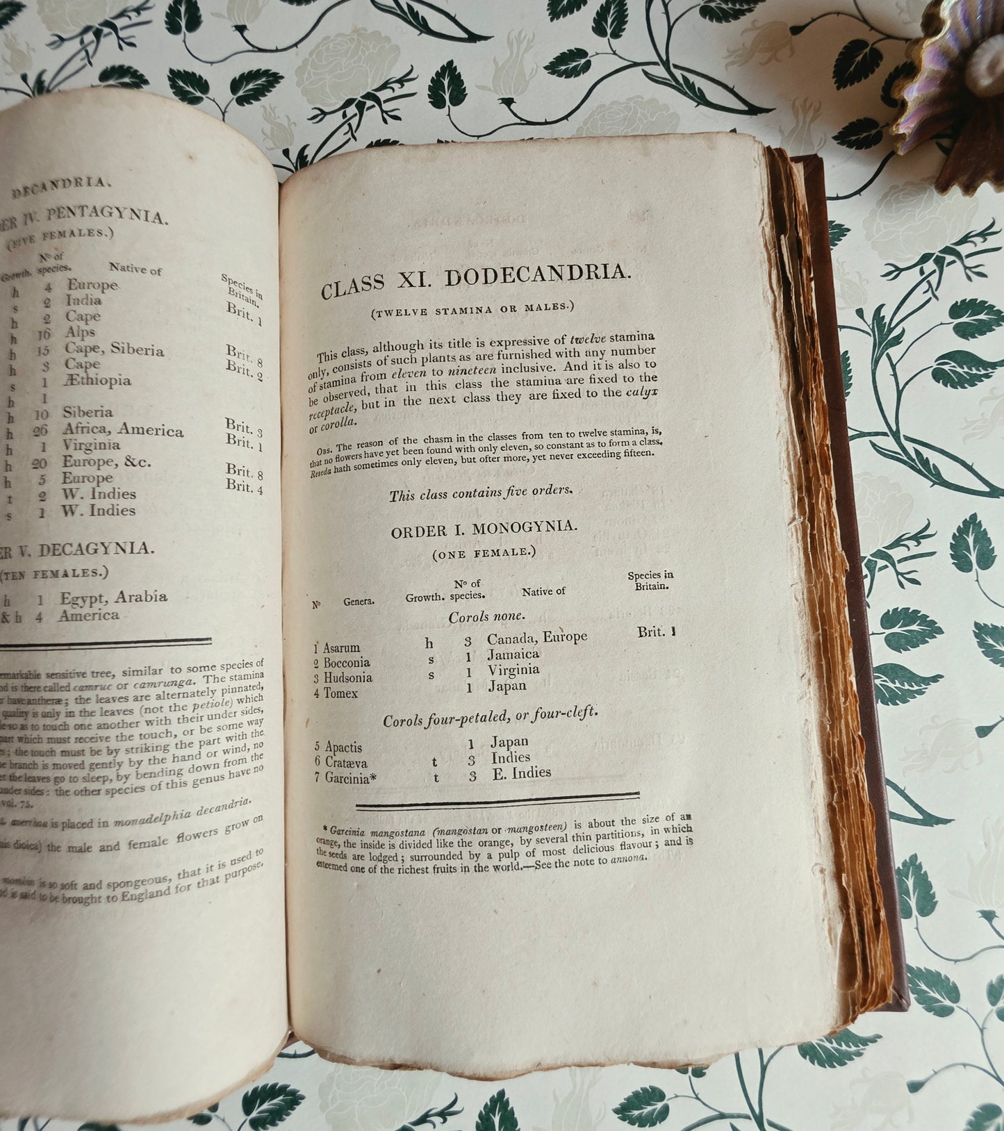 Scarce - Principia Botanica by Robert Waring Darwin - Antique Book