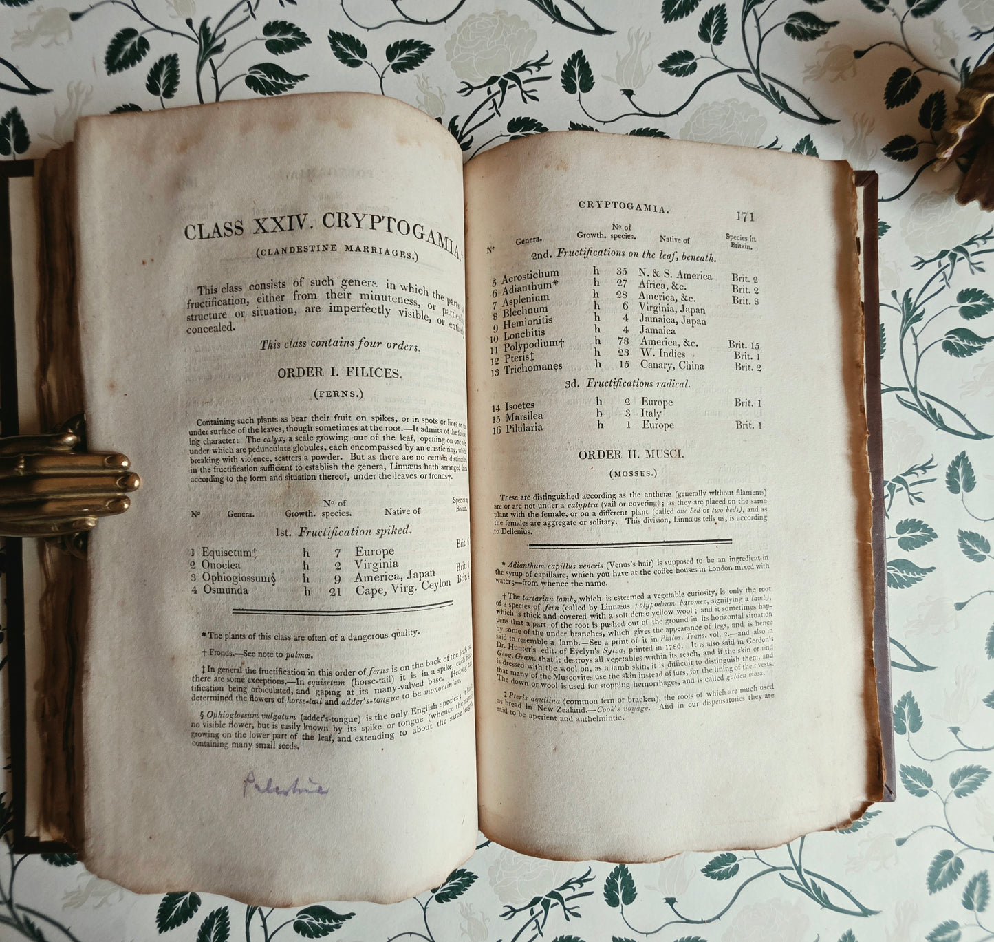 Scarce - Principia Botanica by Robert Waring Darwin - Antique Book