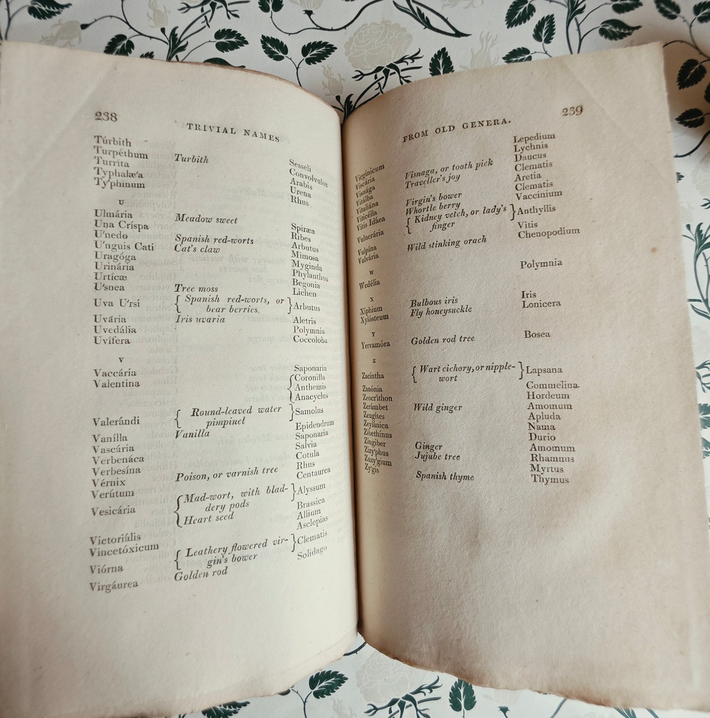 Scarce - Principia Botanica by Robert Waring Darwin - Antique Book