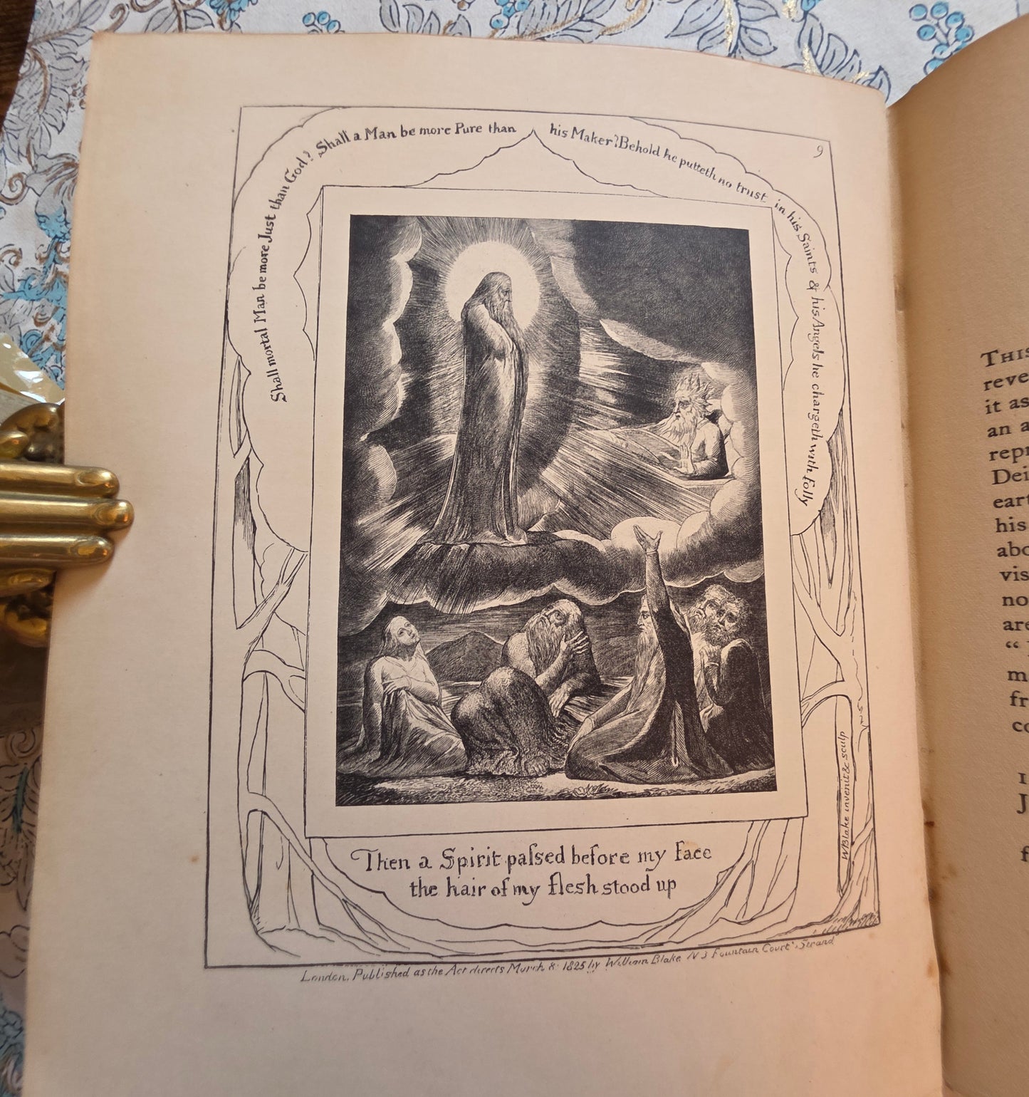 1910 Blake's Vision of the Book of Job With Reproductions of the Illustrations - Antique Book