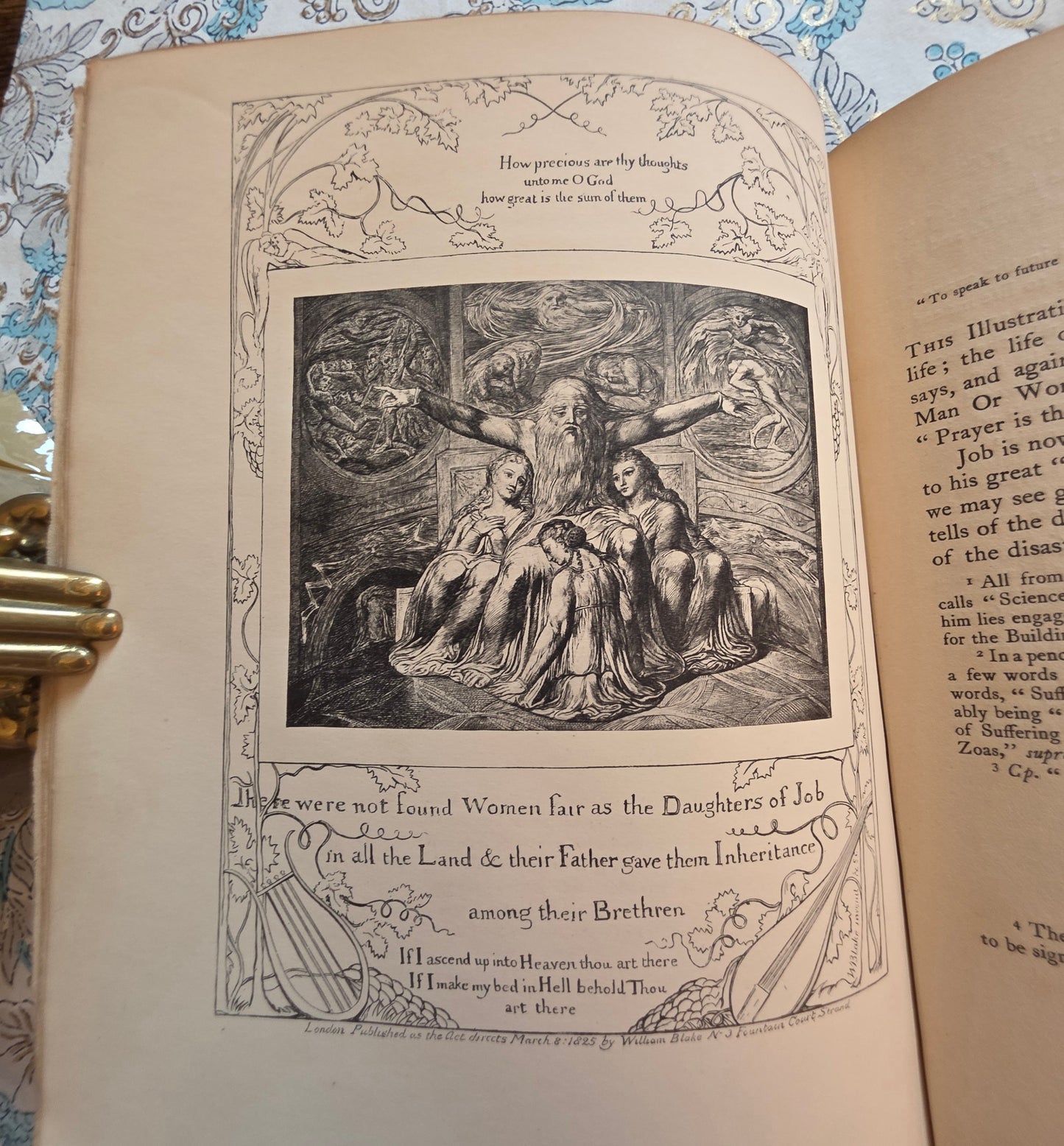 1910 Blake's Vision of the Book of Job With Reproductions of the Illustrations - Antique Book