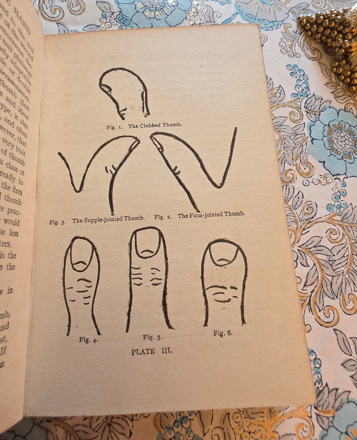 c1920 Cheiro's Guide to the Hand by Cheiro - Antique Guide Book