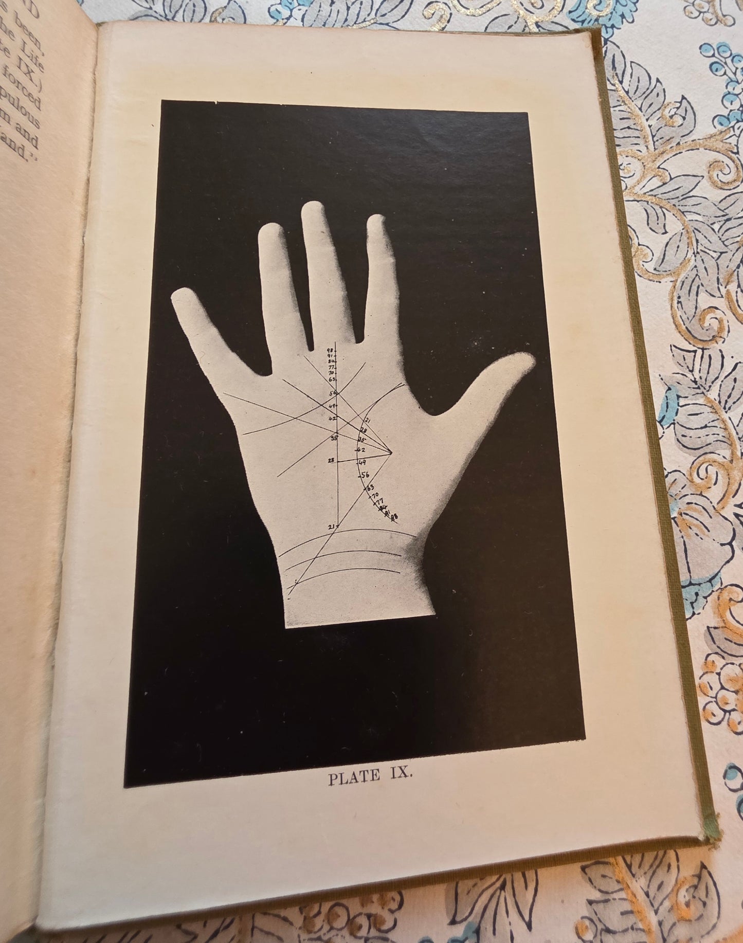 c1920 Cheiro's Guide to the Hand by Cheiro - Antique Guide Book