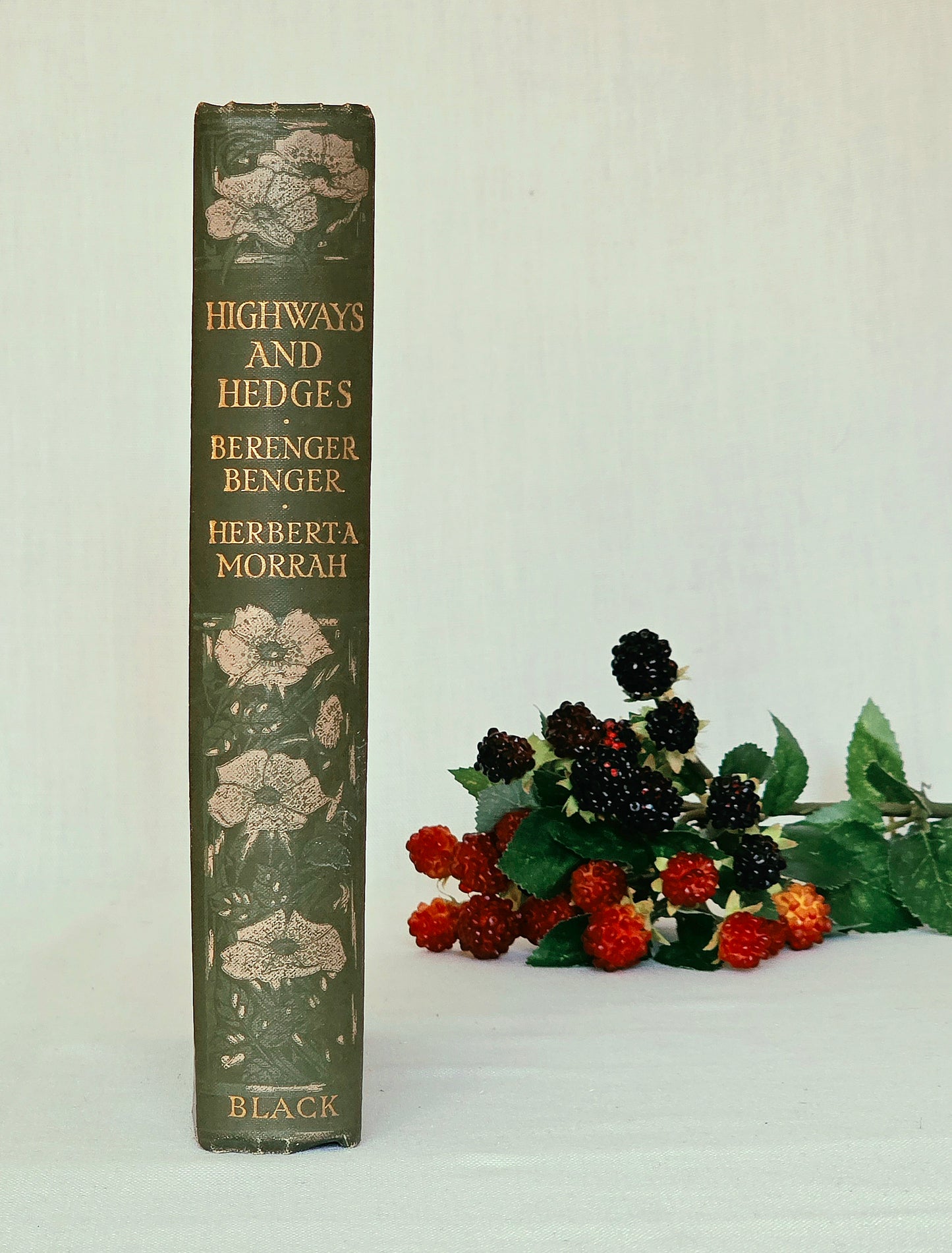1911 Highways and Hedges - Illustrated Antique Book