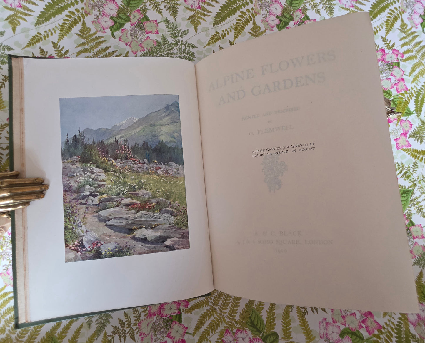 1910 Alpine Flowers and Gardens - Illustrated Antique Book