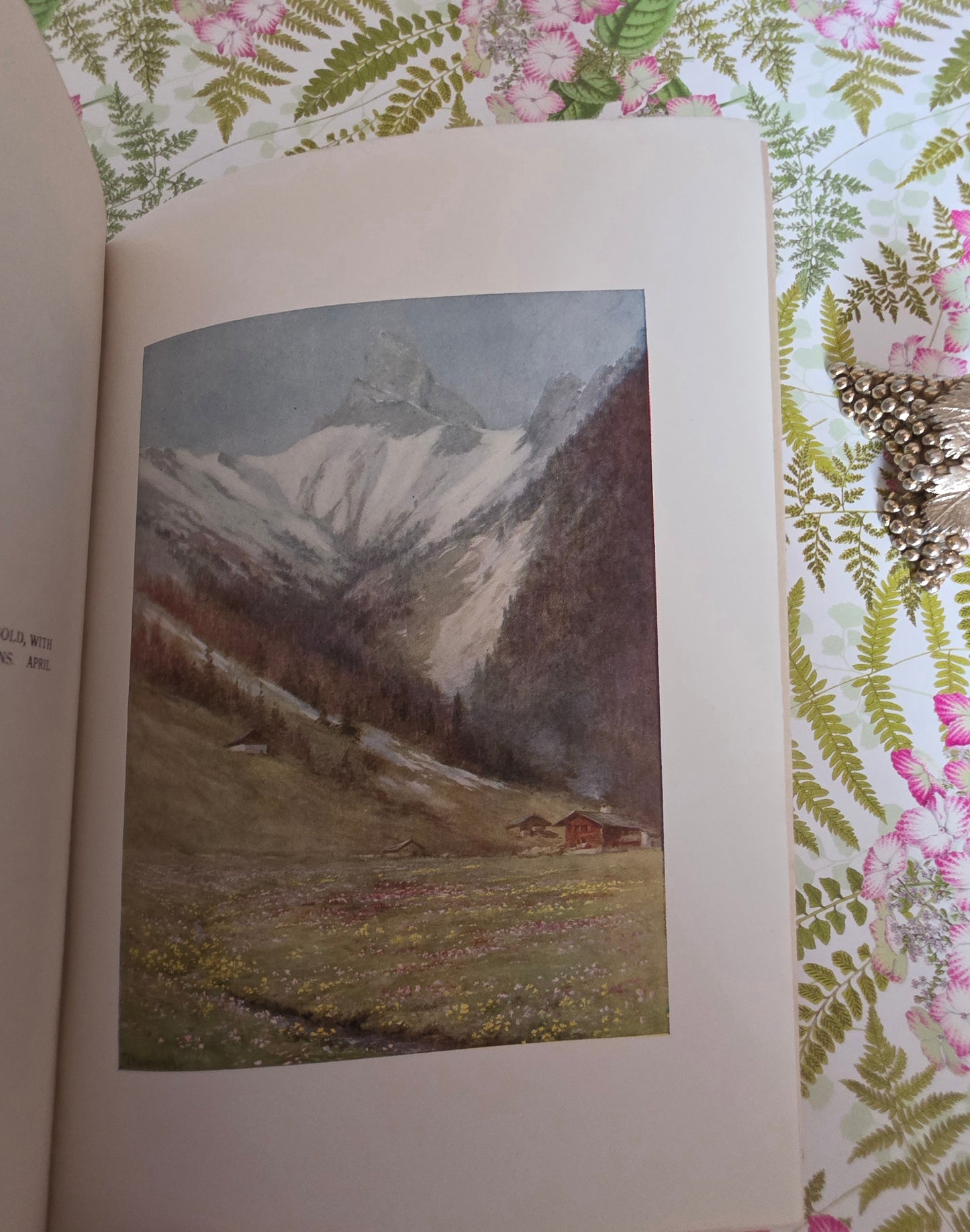 1910 Alpine Flowers and Gardens - Illustrated Antique Book