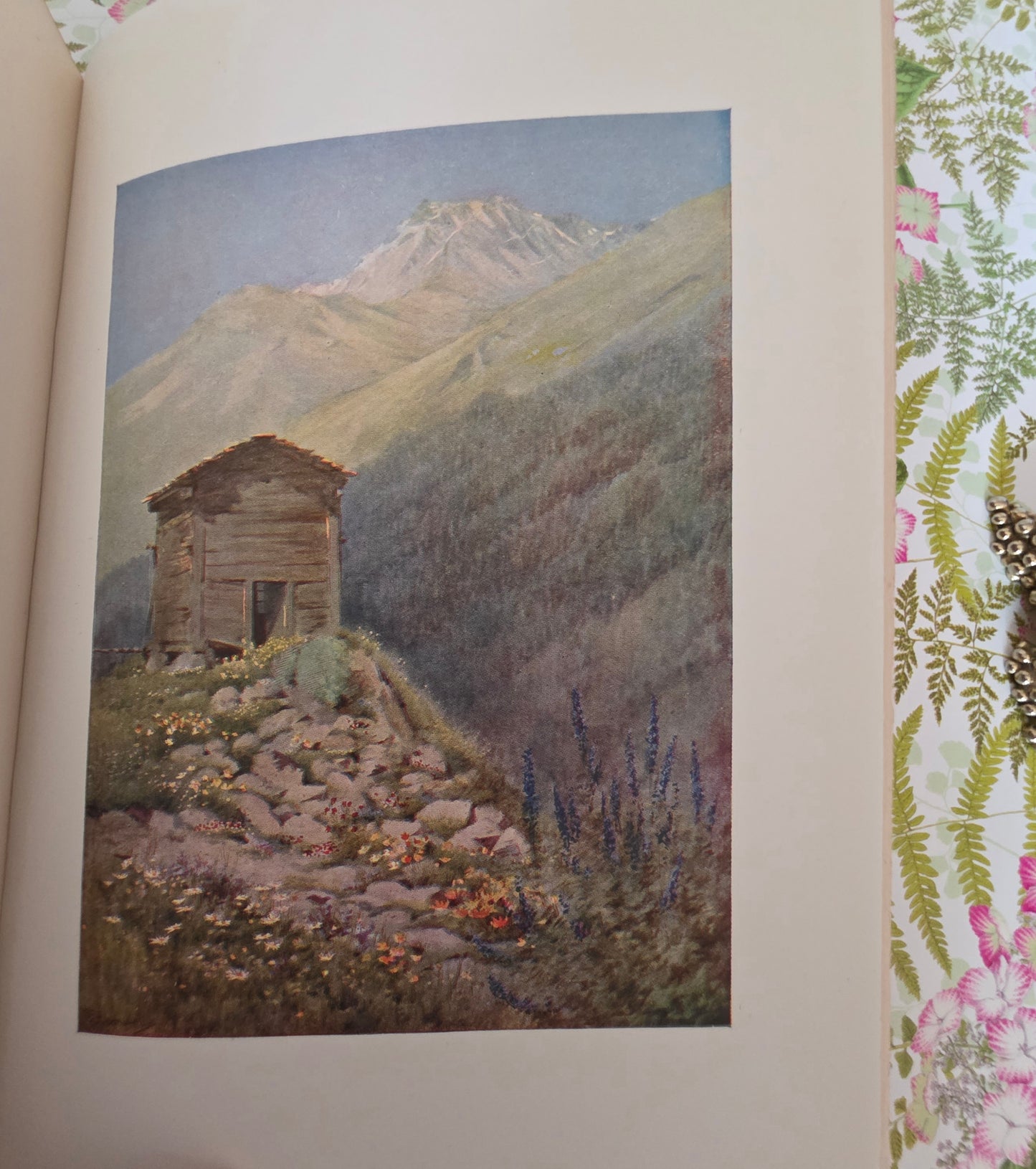 1910 Alpine Flowers and Gardens - Illustrated Antique Book