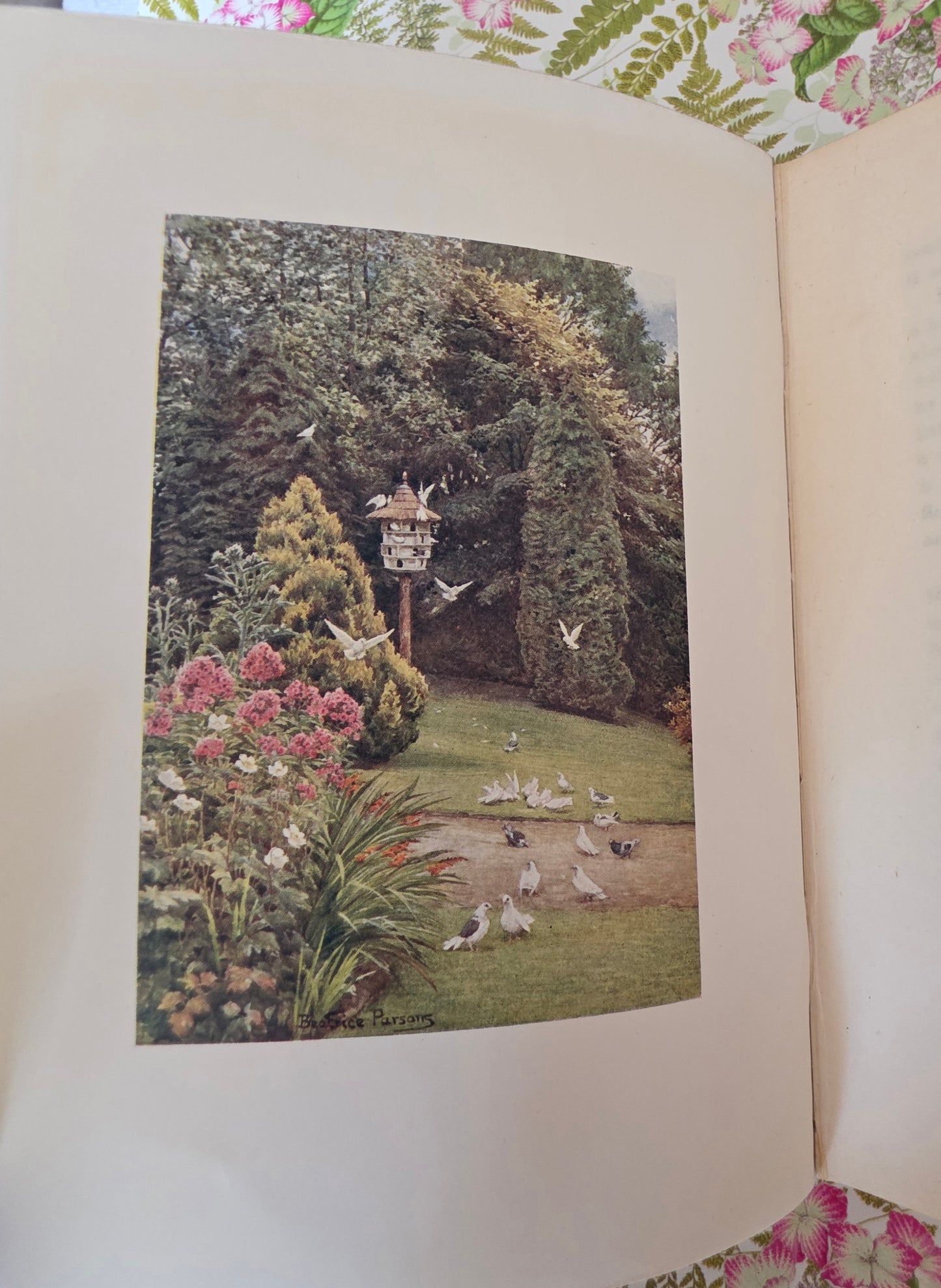 1911 Gardens of England by ET Cook - Illustrated Antique Book