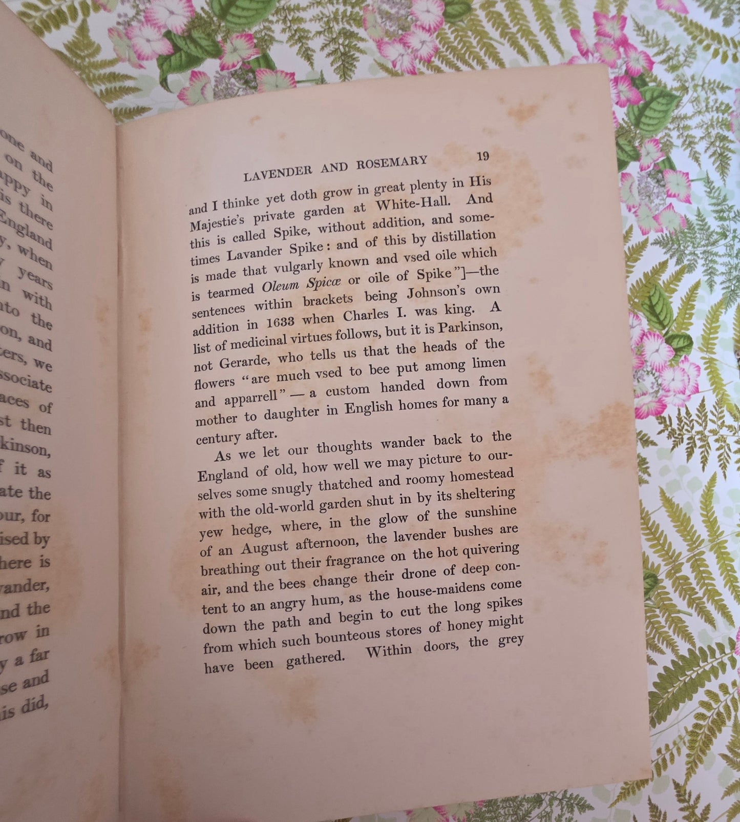 1911 Gardens of England by ET Cook - Illustrated Antique Book