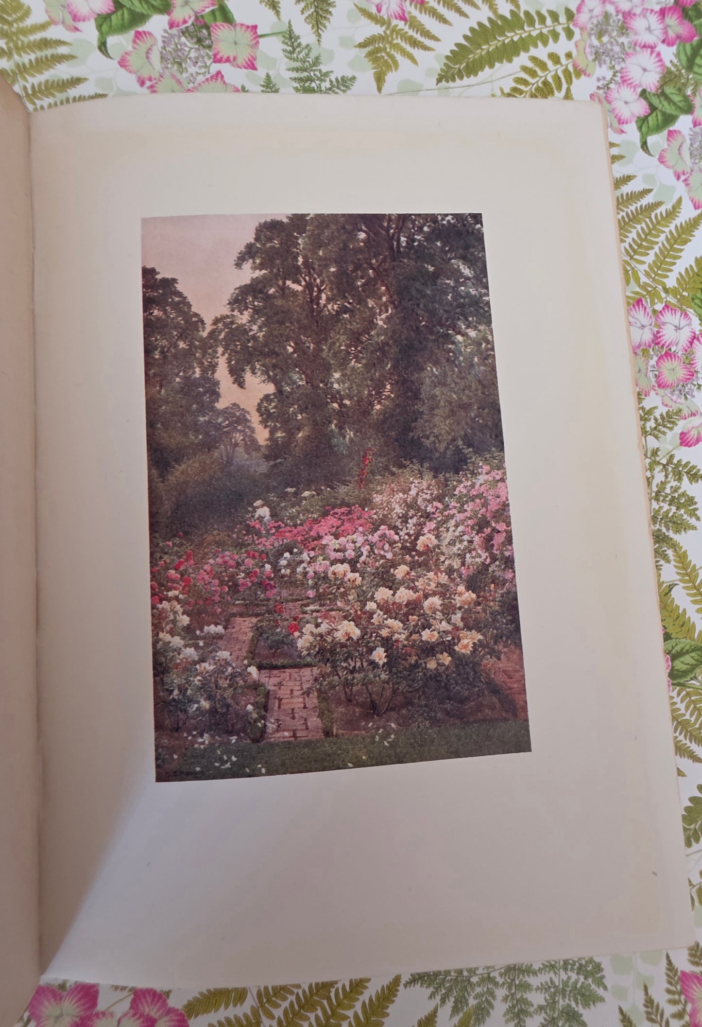 1911 Gardens of England by ET Cook - Illustrated Antique Book
