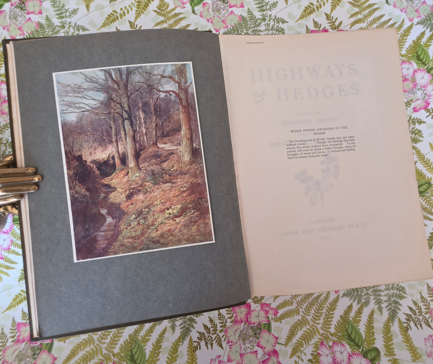 1911 Highways and Hedges - Illustrated Antique Book