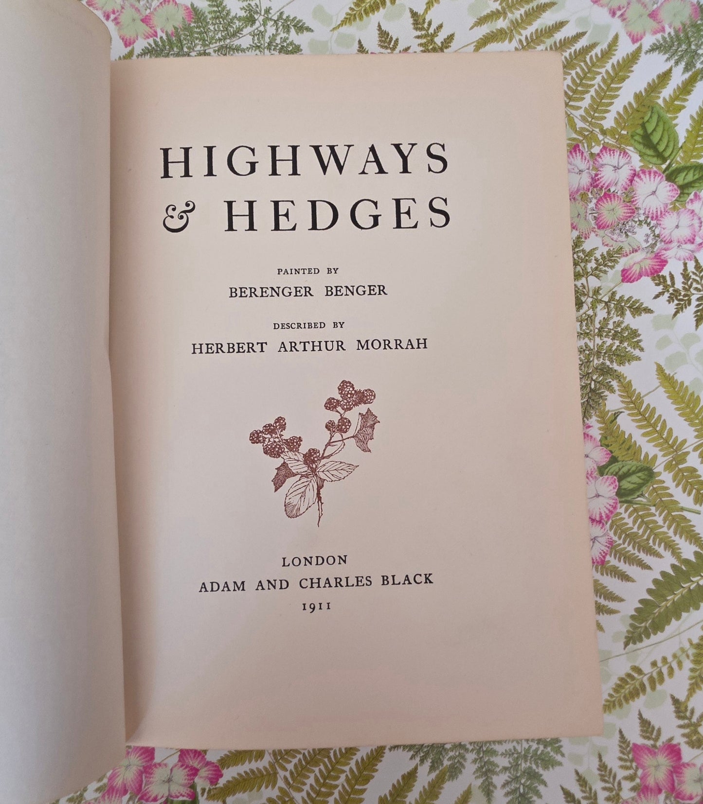 1911 Highways and Hedges - Illustrated Antique Book