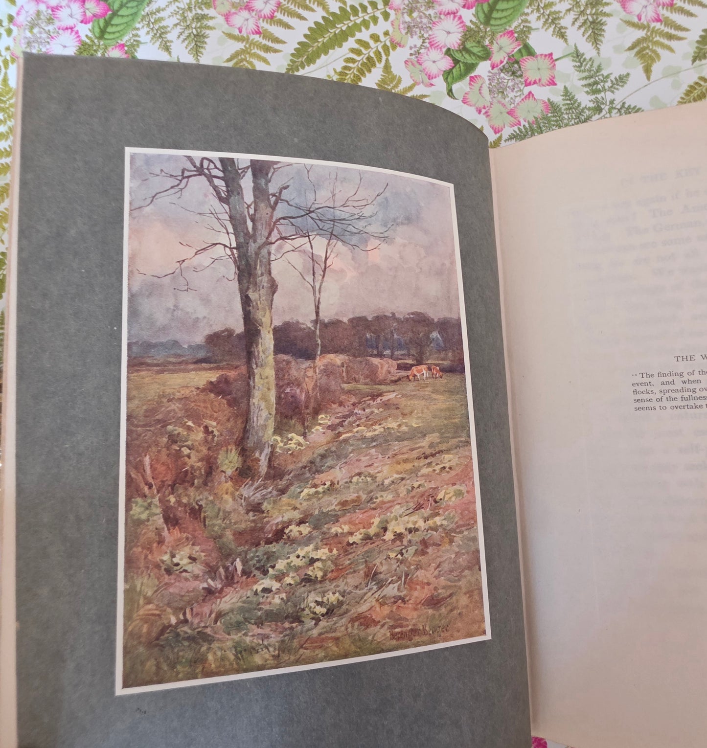 1911 Highways and Hedges - Illustrated Antique Book