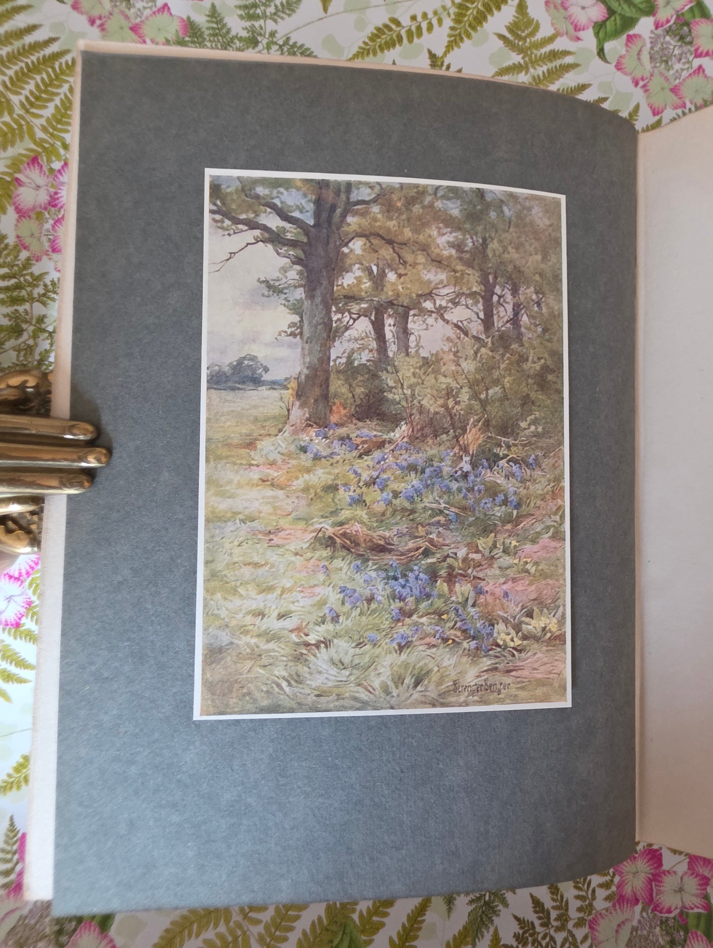 1911 Highways and Hedges - Illustrated Antique Book