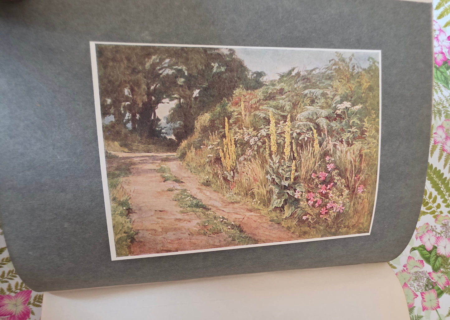 1911 Highways and Hedges - Illustrated Antique Book
