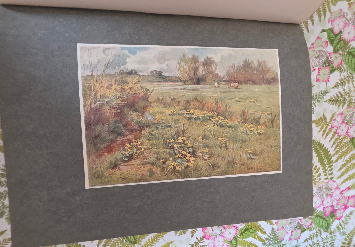 1911 Highways and Hedges - Illustrated Antique Book