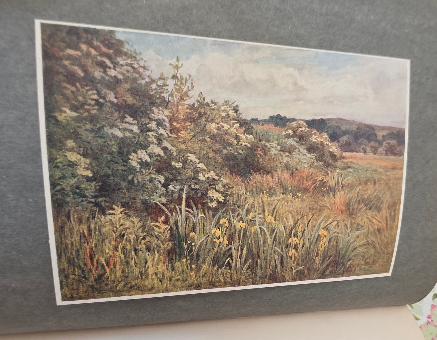 1911 Highways and Hedges - Illustrated Antique Book