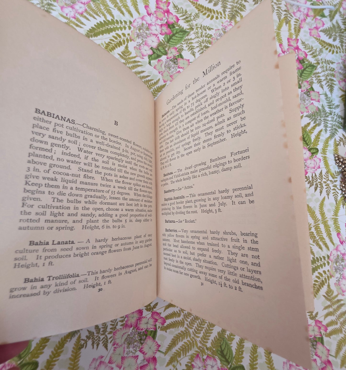 Scarce 1904 Gardening For The Million by Alfred Pink - Edwardian Antique Book