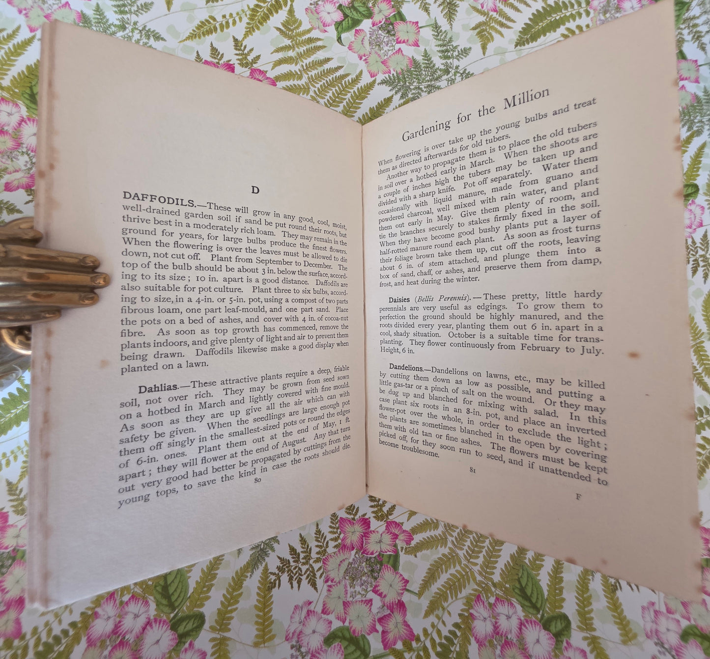 Scarce 1904 Gardening For The Million by Alfred Pink - Edwardian Antique Book