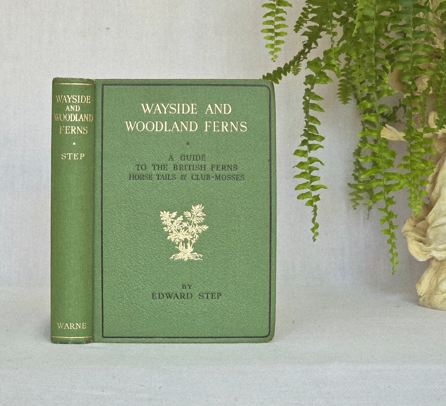 1947 Wayside and Woodland Ferns A Guide To British Ferns Horsetails & Club-Mosses by Edward Step / 1947 Frederick Warne / Richly Illustrated