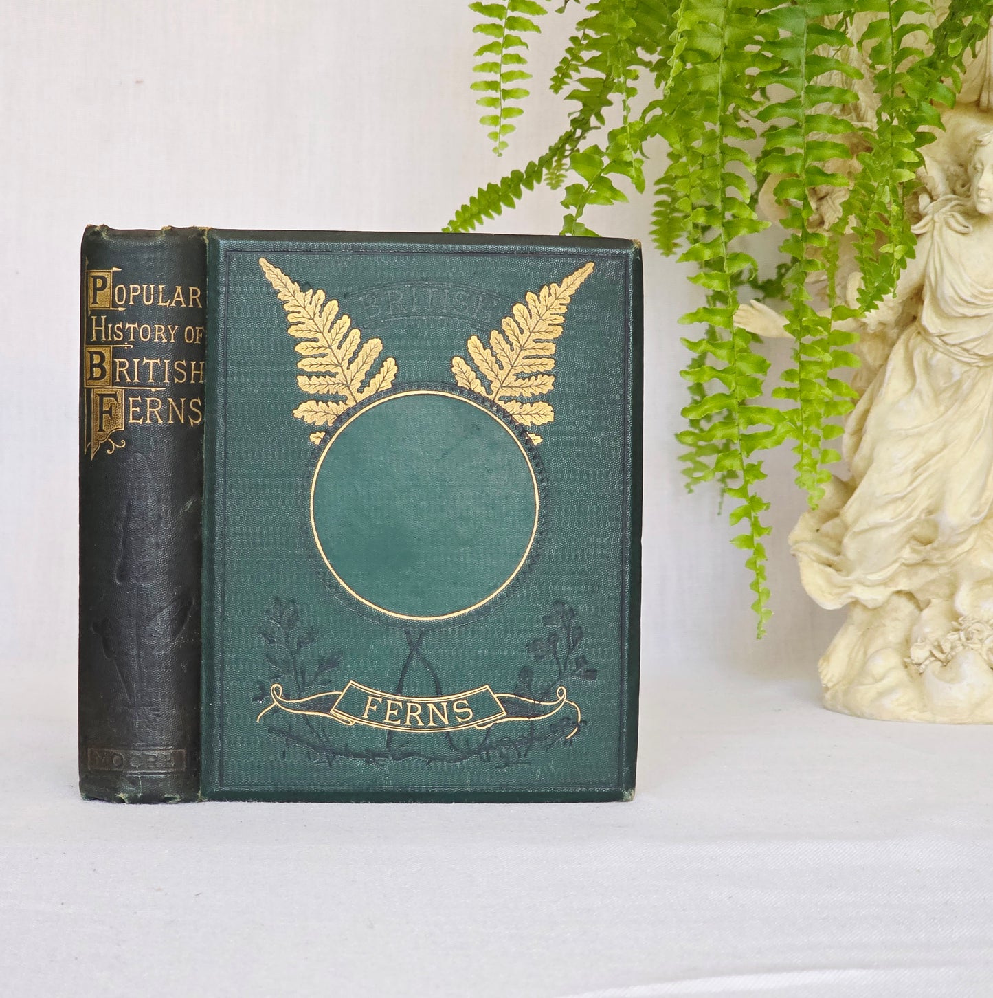 1859 A Popular History of British Ferns and the Allied Plants by Thomas Moore - Illustrated Antique Book