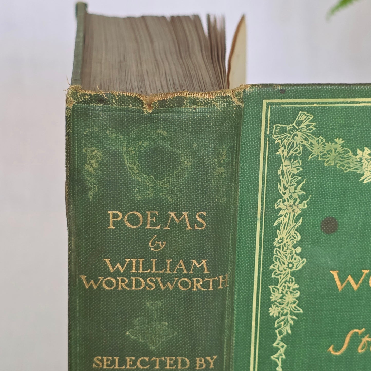 1907 Poems by William Wordsworth : Illustrated Antique Book