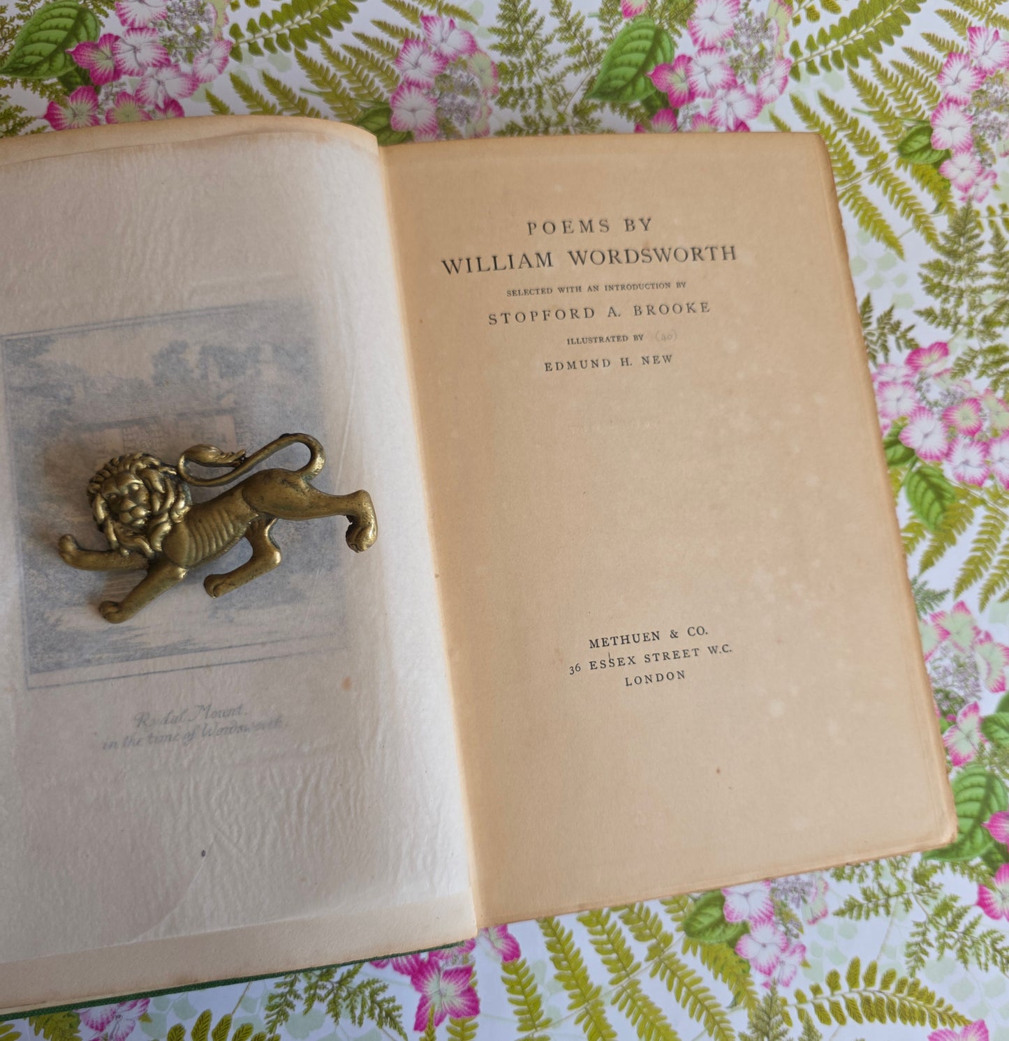 1907 Poems by William Wordsworth : Illustrated Antique Book
