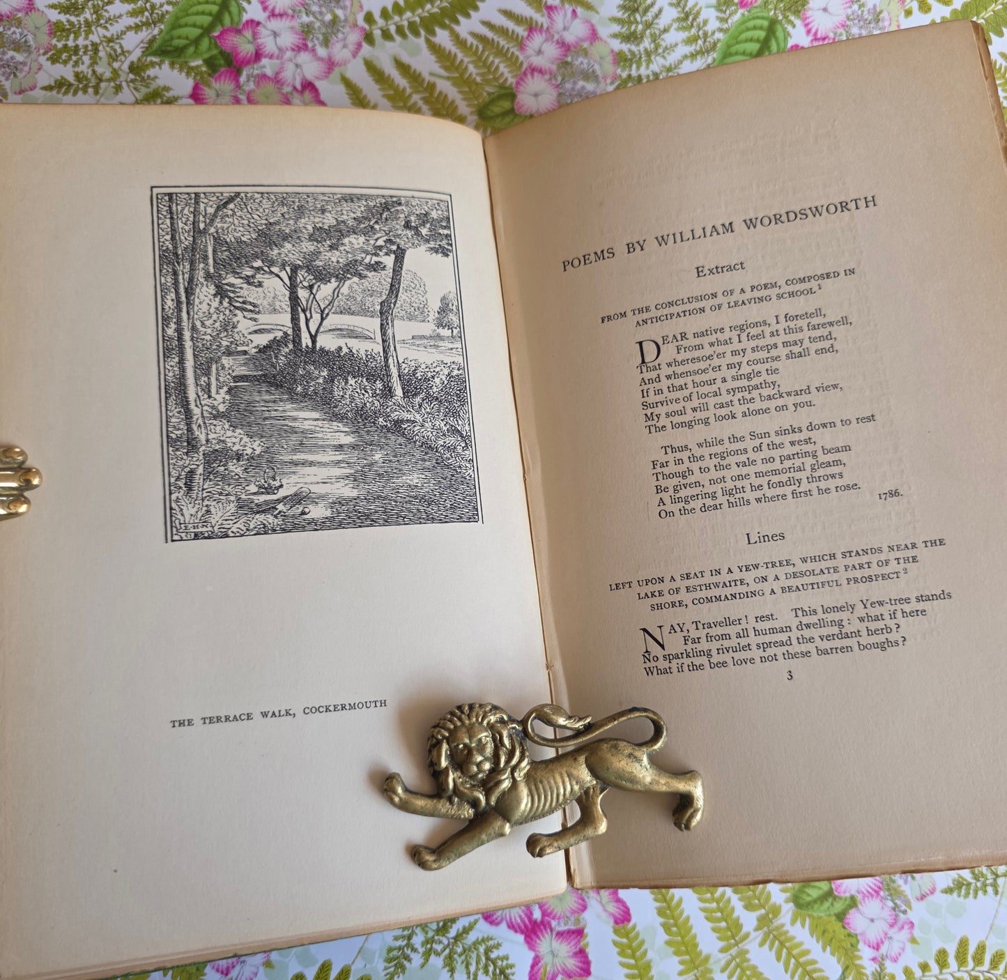 1907 Poems by William Wordsworth : Illustrated Antique Book