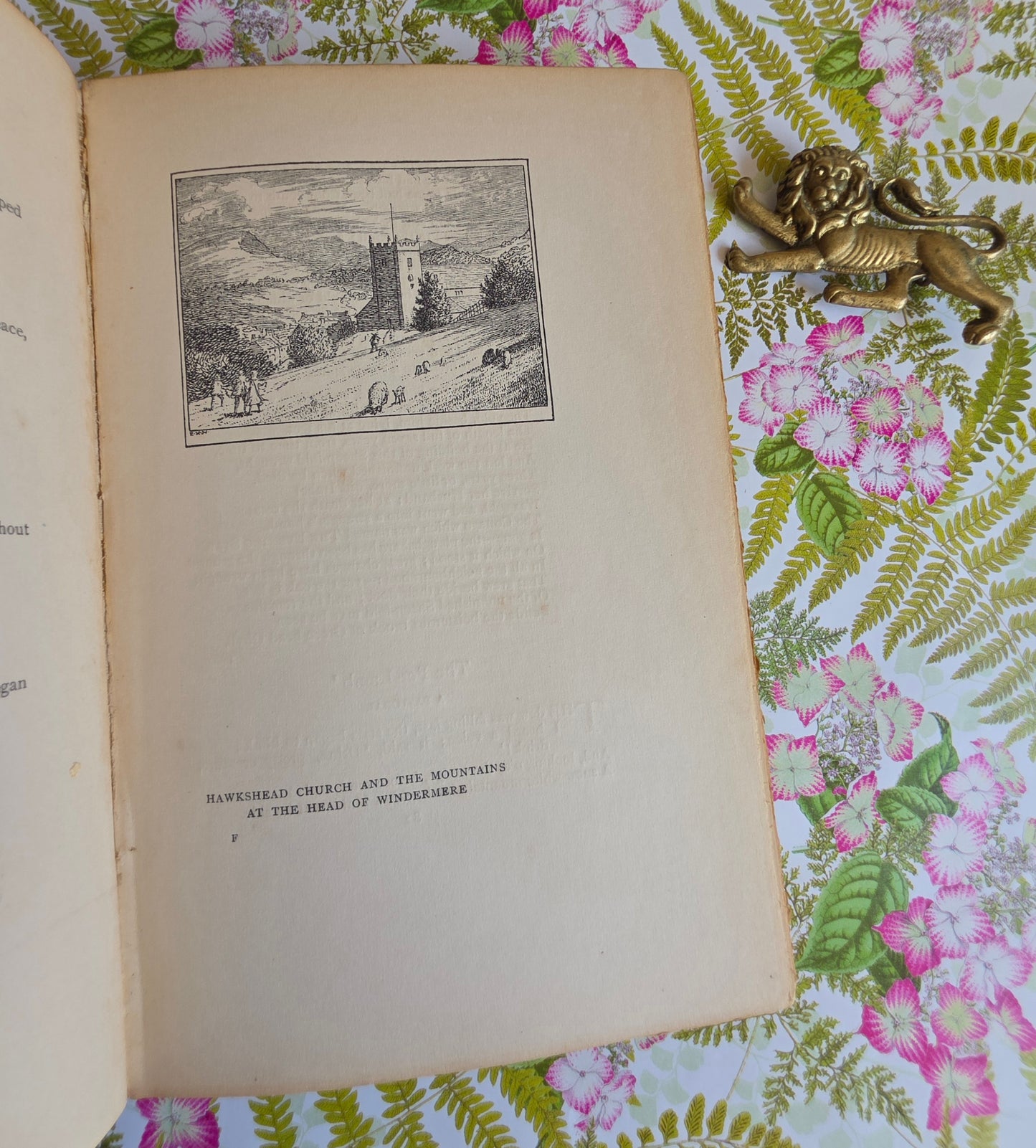 1907 Poems by William Wordsworth : Illustrated Antique Book