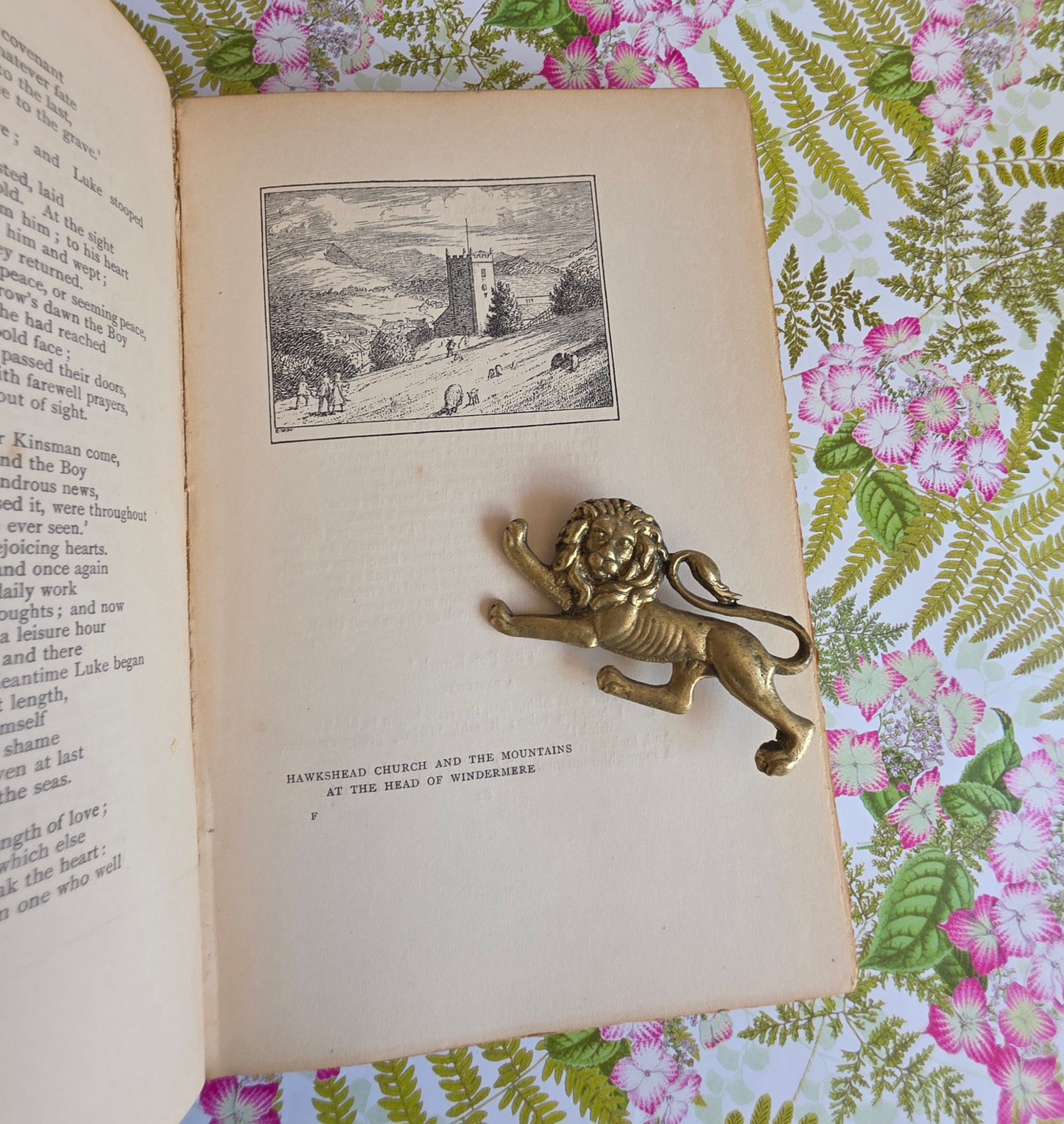 1907 Poems by William Wordsworth : Illustrated Antique Book