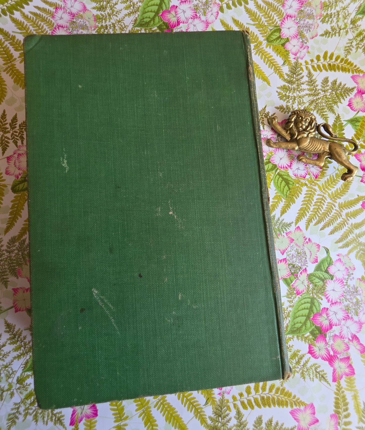 1907 Poems by William Wordsworth : Illustrated Antique Book