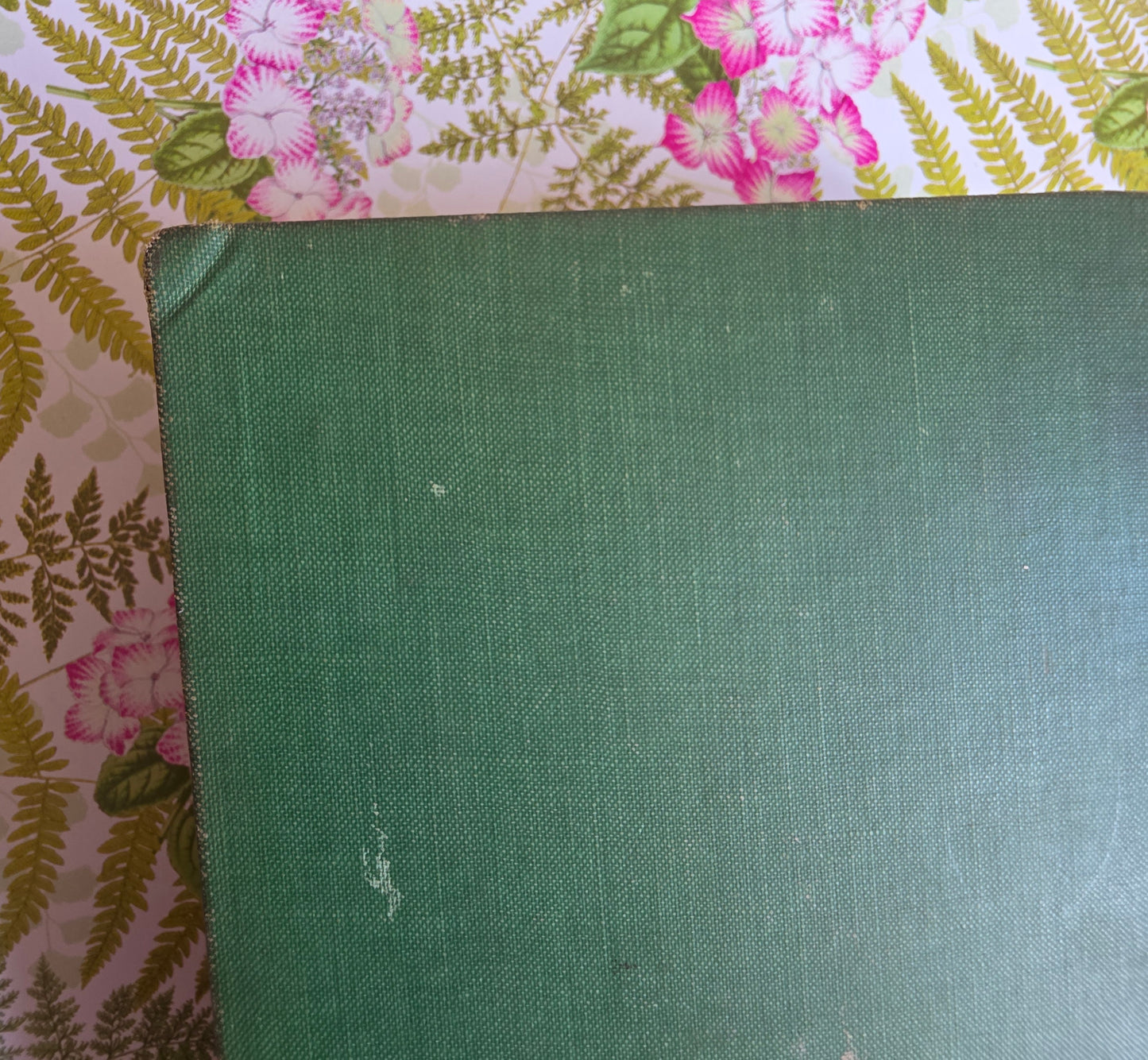 1907 Poems by William Wordsworth : Illustrated Antique Book