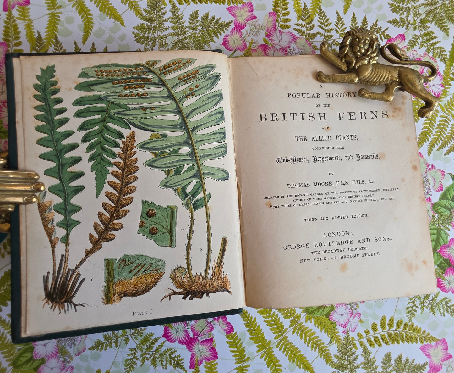 1859 A Popular History of British Ferns and the Allied Plants by Thomas Moore - Illustrated Antique Book