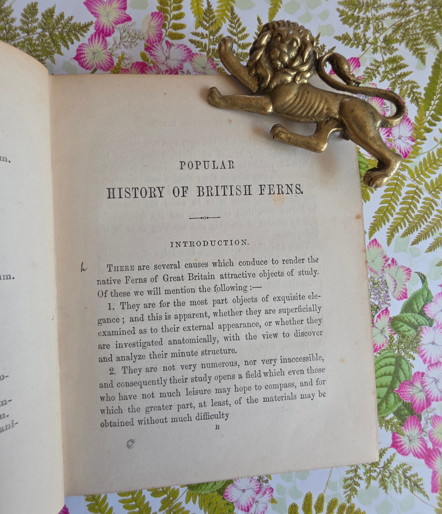 1859 A Popular History of British Ferns and the Allied Plants by Thomas Moore - Illustrated Antique Book