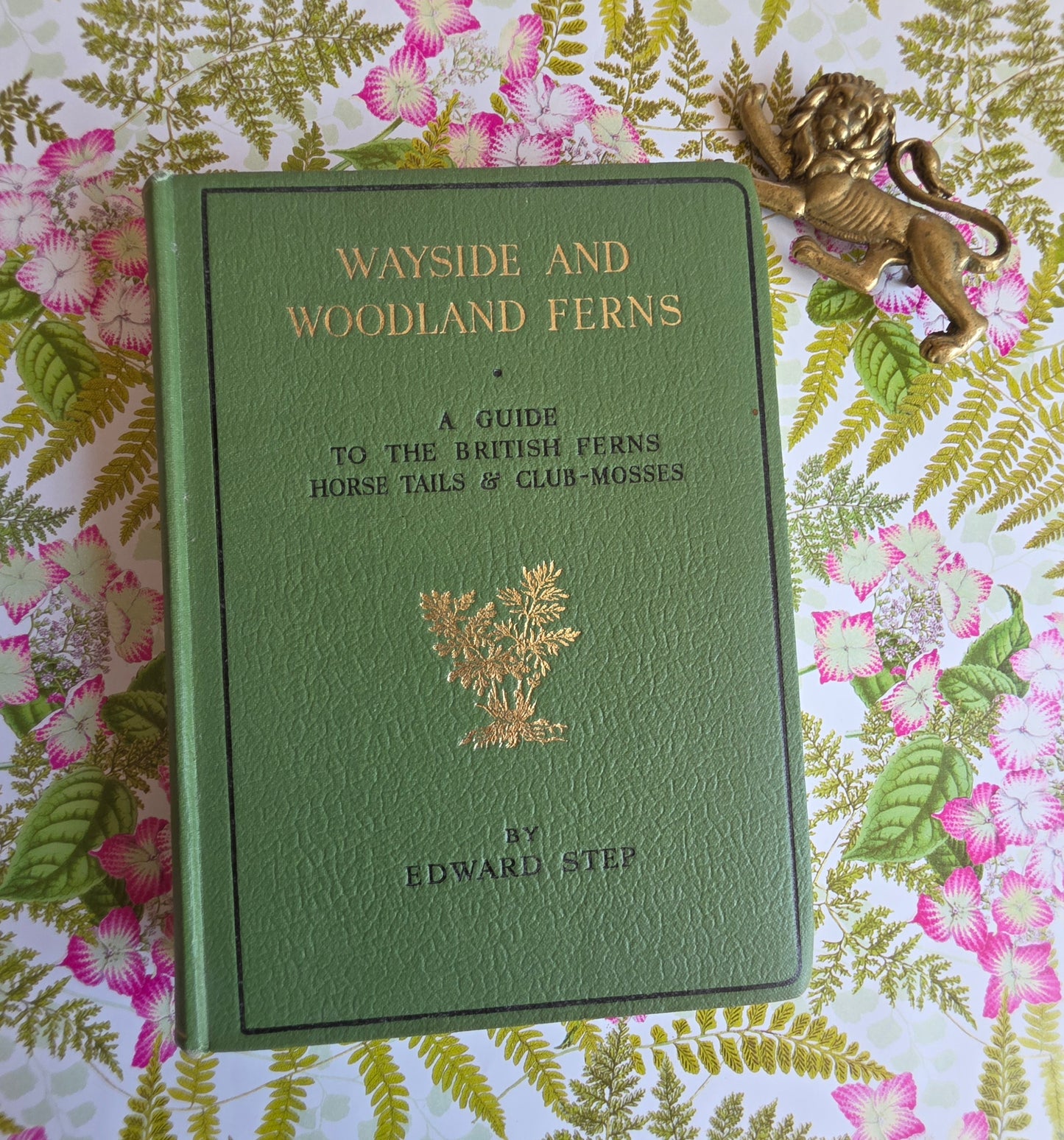 1947 Wayside and Woodland Ferns A Guide To British Ferns Horsetails & Club-Mosses by Edward Step / 1947 Frederick Warne / Richly Illustrated