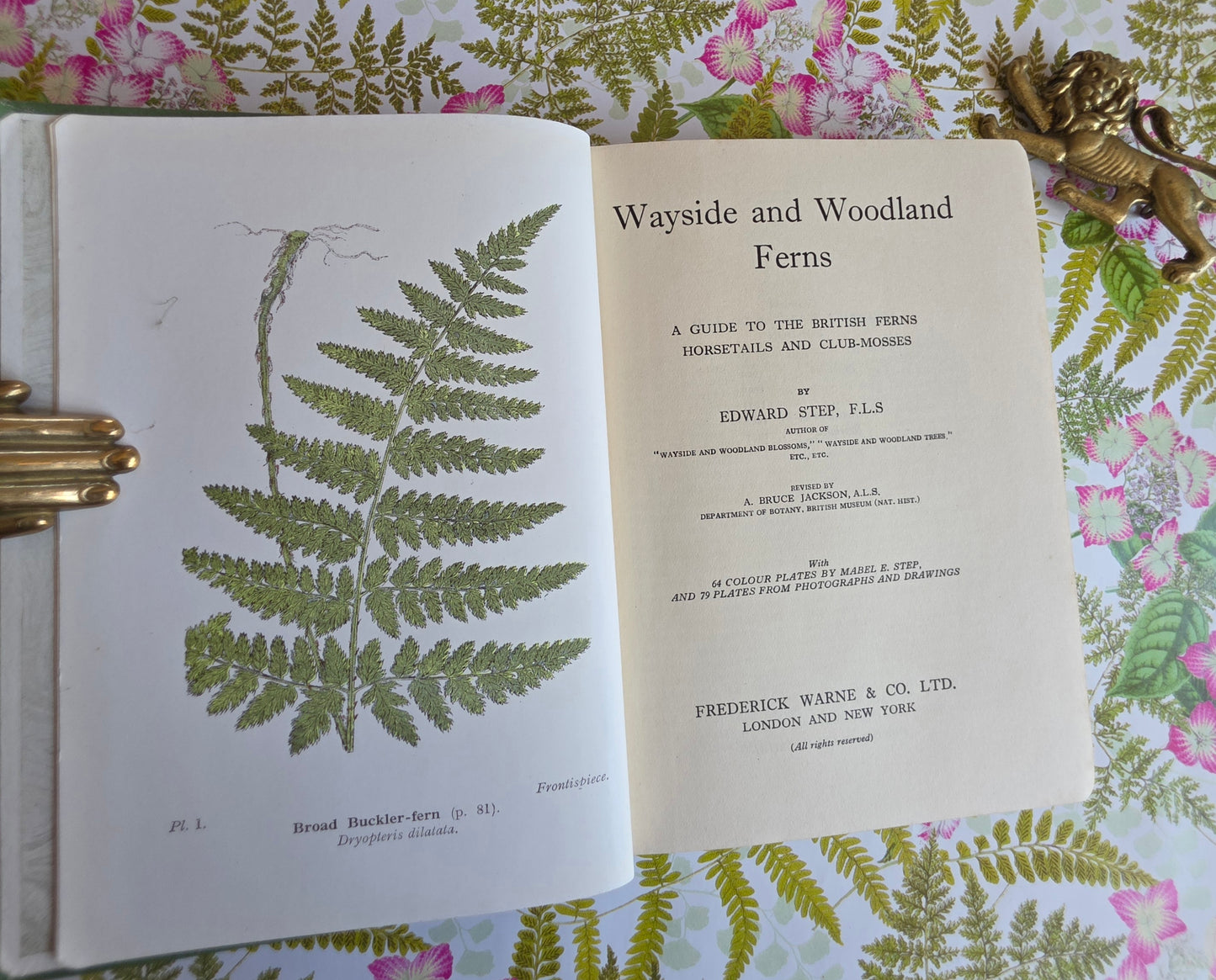 1947 Wayside and Woodland Ferns A Guide To British Ferns Horsetails & Club-Mosses by Edward Step / 1947 Frederick Warne / Richly Illustrated