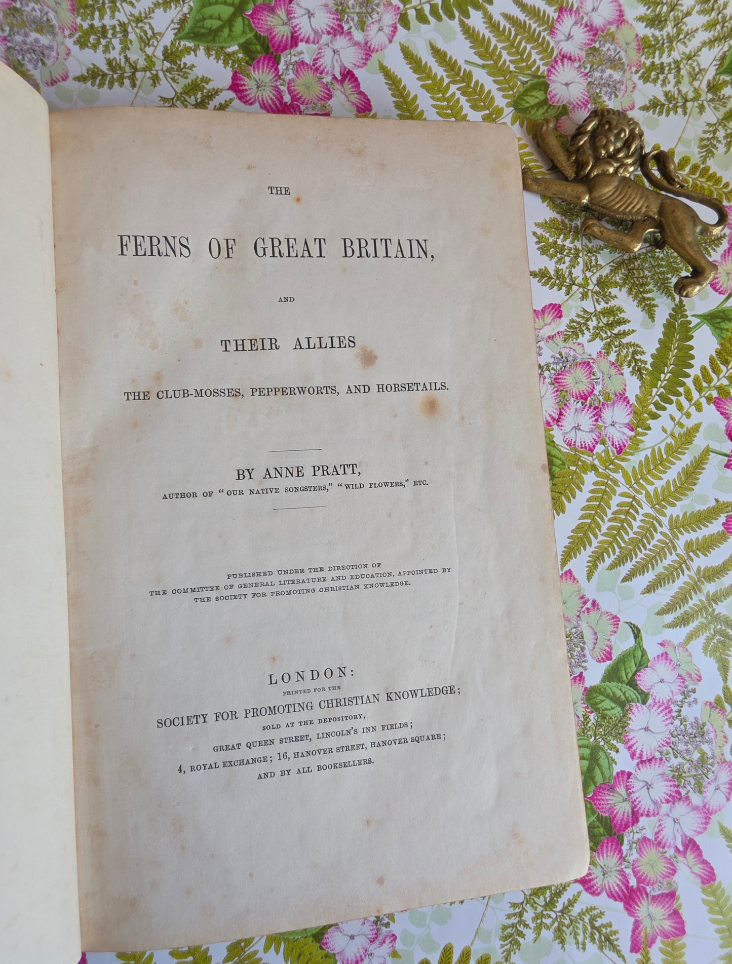 1855 The Ferns of Great Britain and Their Allies by Anne Pratt - Illustrated Antique Book