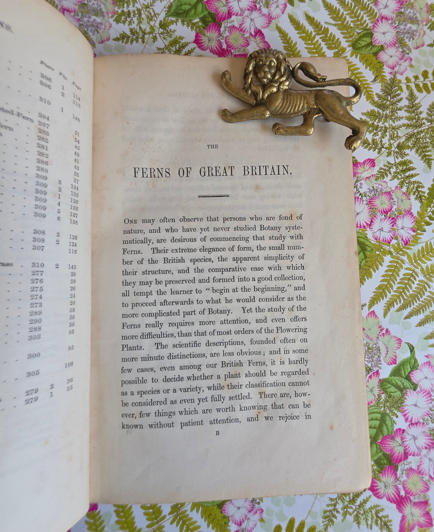 1855 The Ferns of Great Britain and Their Allies by Anne Pratt - Illustrated Antique Book