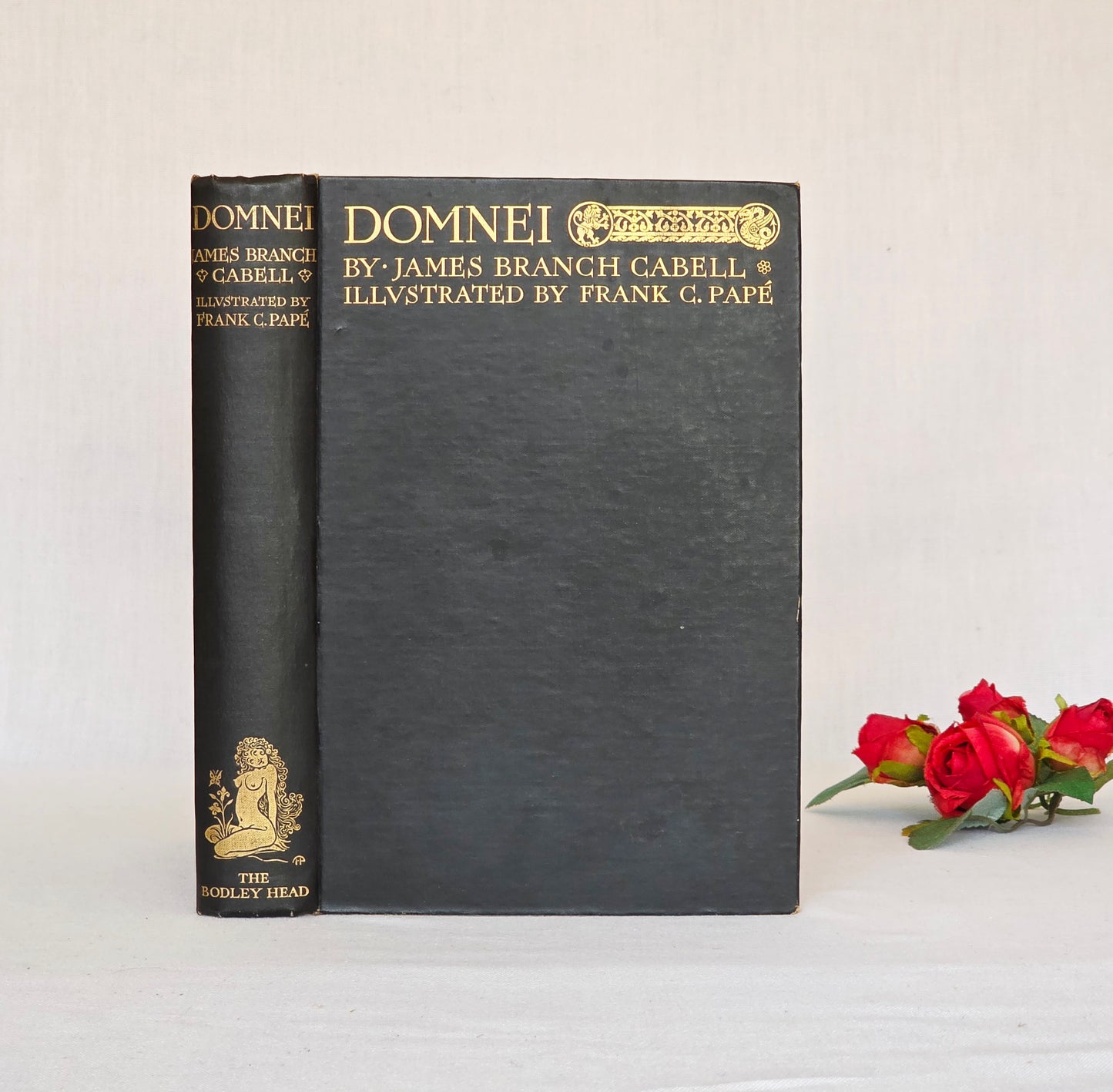 1930 Domnei by James Branch Cabell - Frank C Papé Illustrated Antique Book