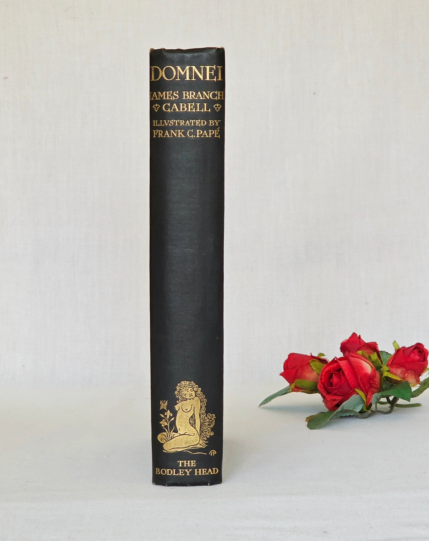 1930 Domnei by James Branch Cabell - Frank C Papé Illustrated Antique Book