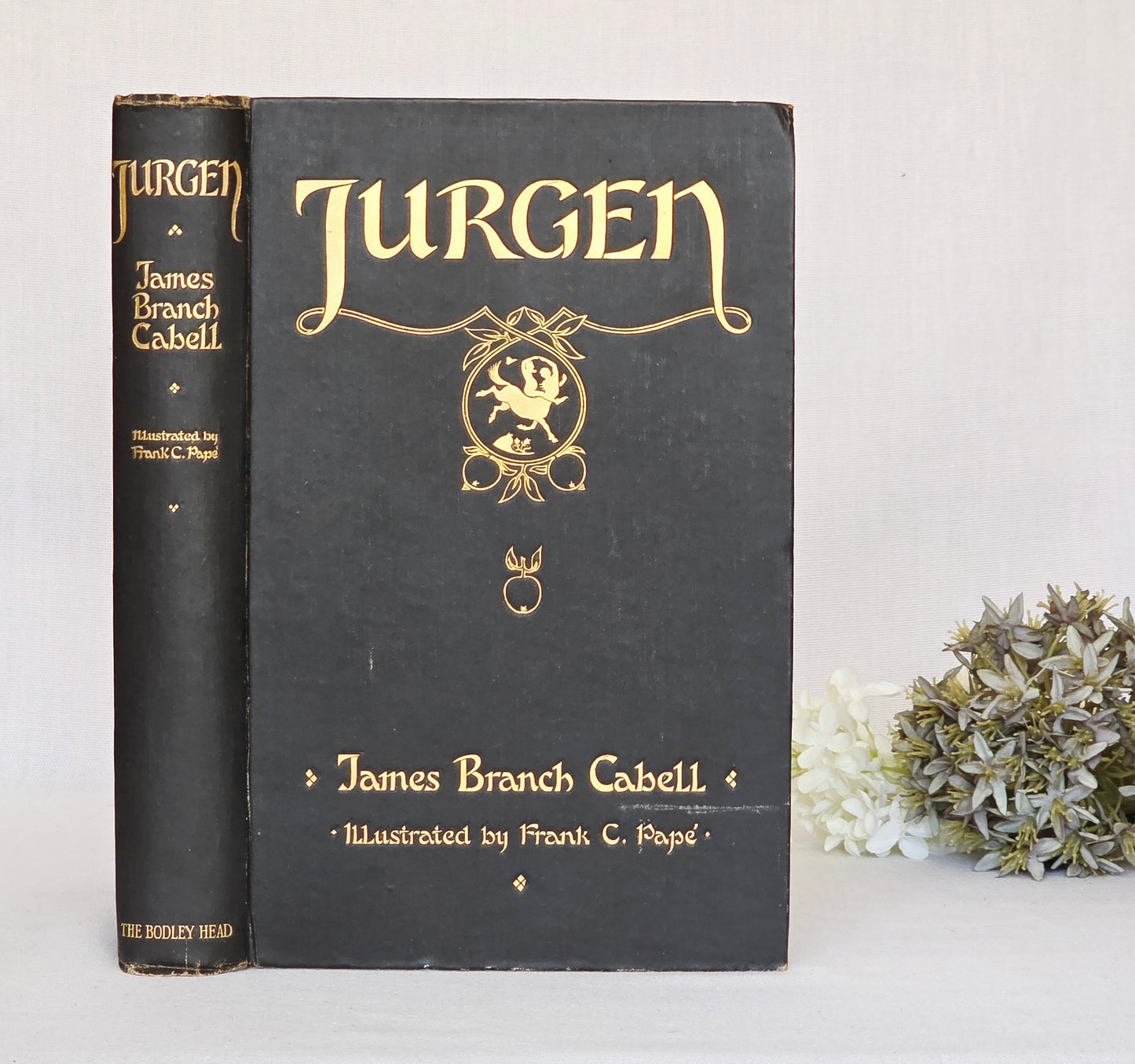 1921 Jurgen by James Brach Cabell / LIMITED EDITION Antique Book / Illustrations by Frank C. Papé
