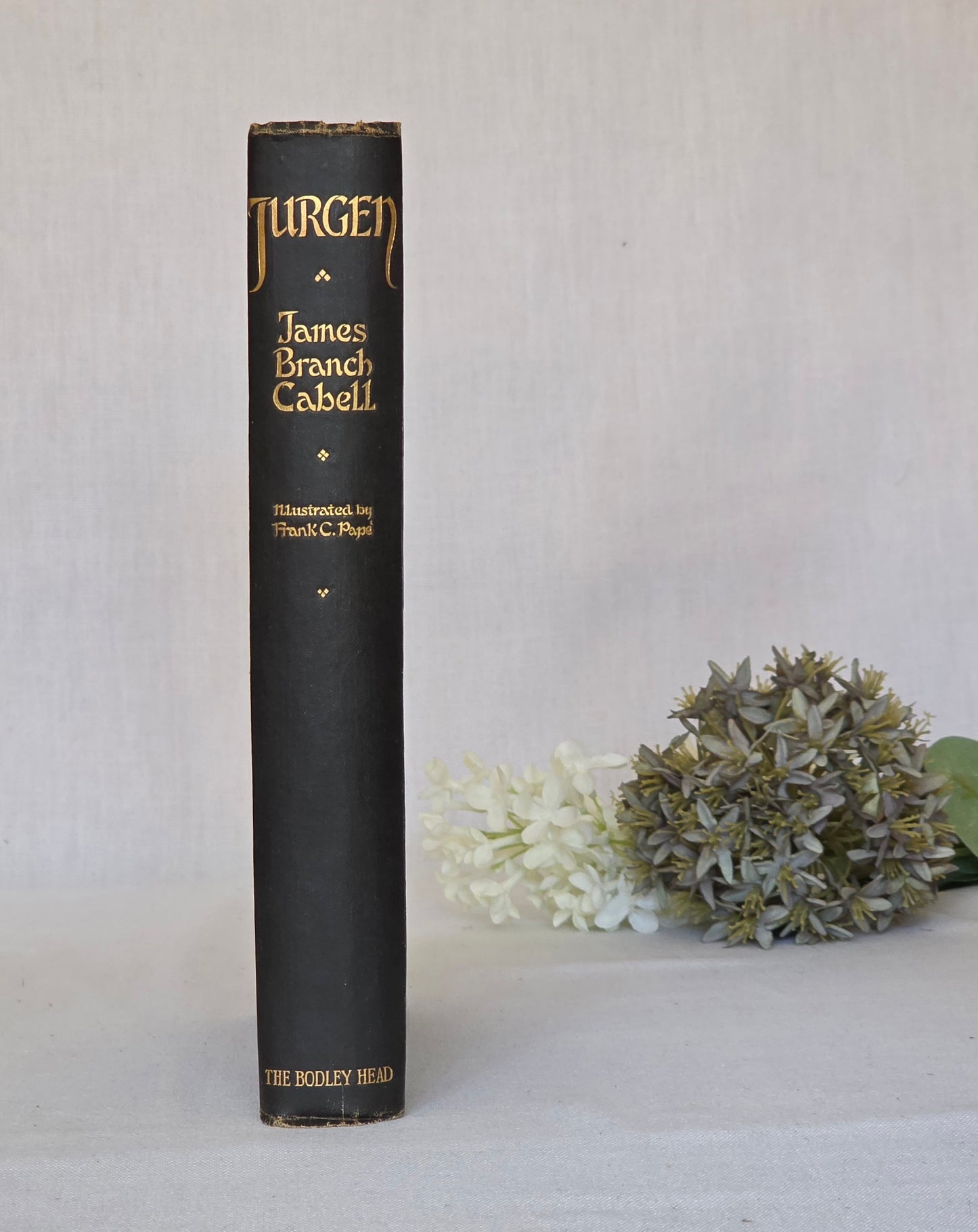 1921 Jurgen by James Brach Cabell / LIMITED EDITION Antique Book / Illustrations by Frank C. Papé