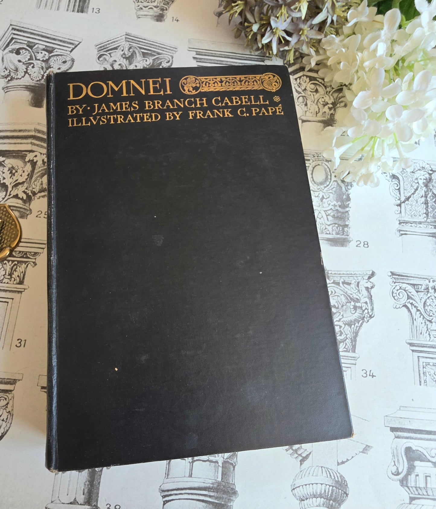 1930 Domnei by James Branch Cabell - Frank C Papé Illustrated Antique Book