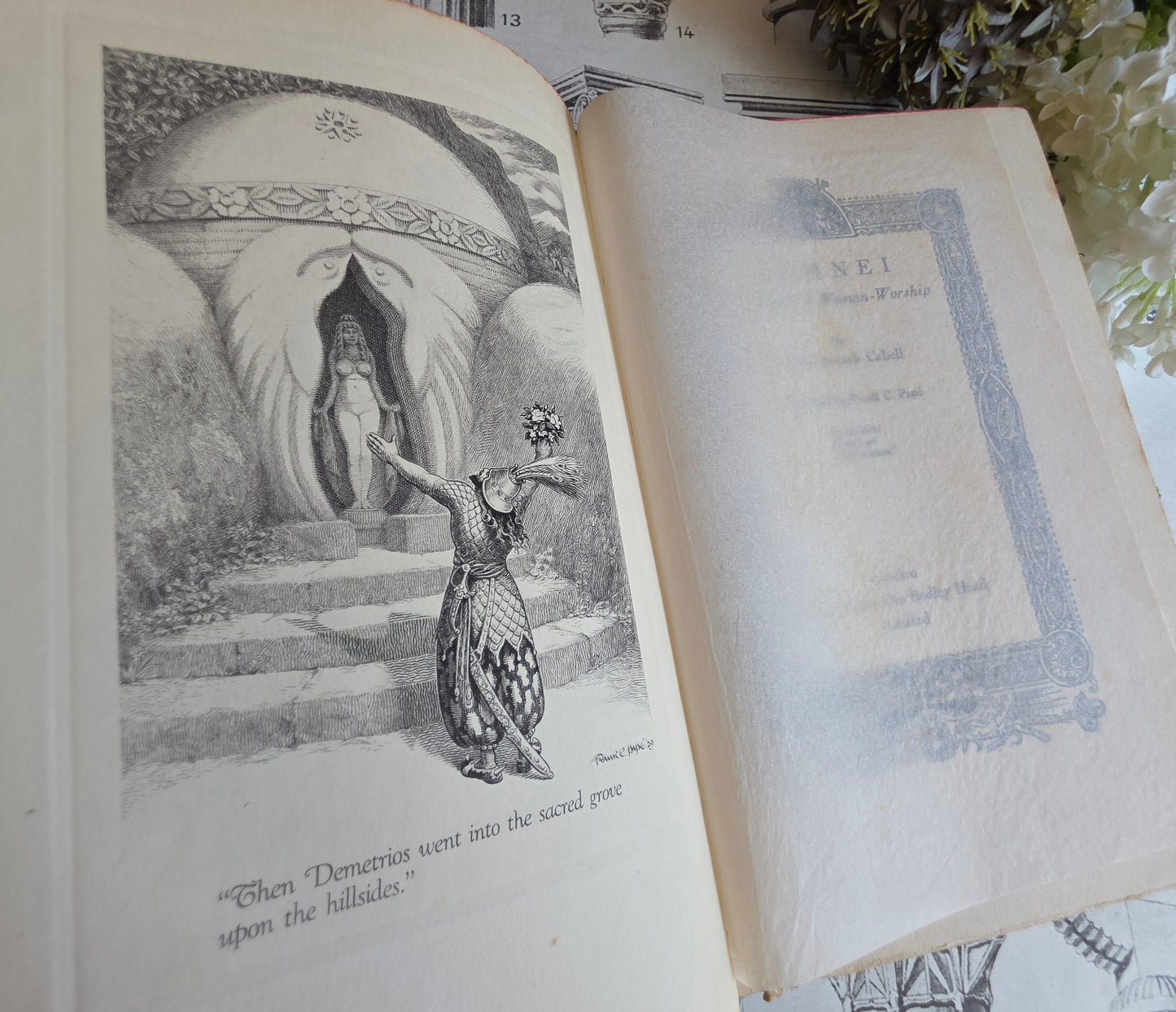 1930 Domnei by James Branch Cabell - Frank C Papé Illustrated Antique Book