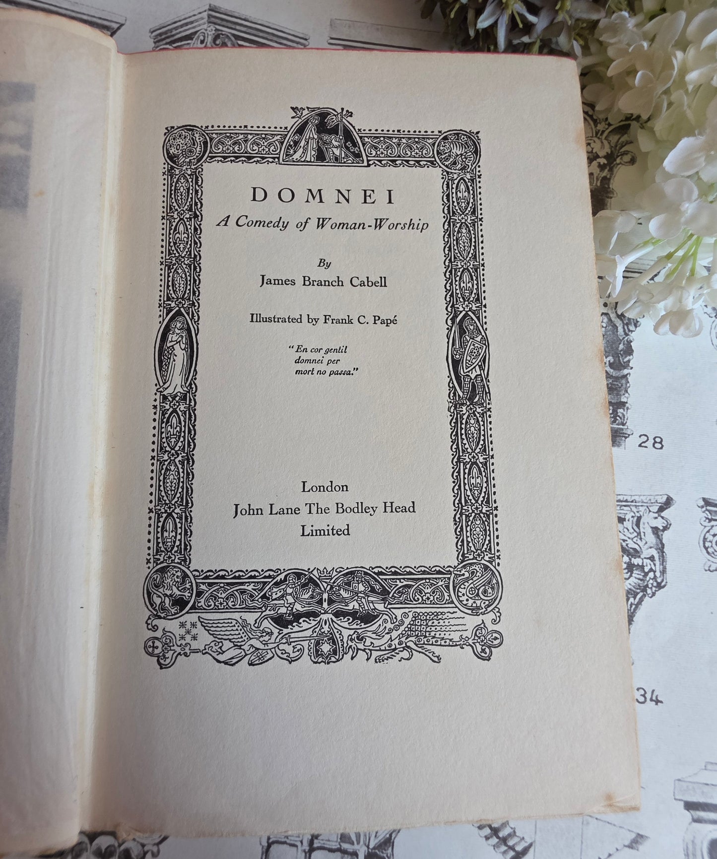 1930 Domnei by James Branch Cabell - Frank C Papé Illustrated Antique Book