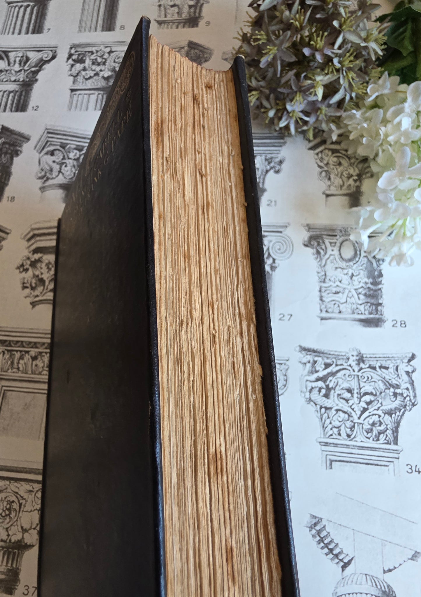 1930 Domnei by James Branch Cabell - Frank C Papé Illustrated Antique Book