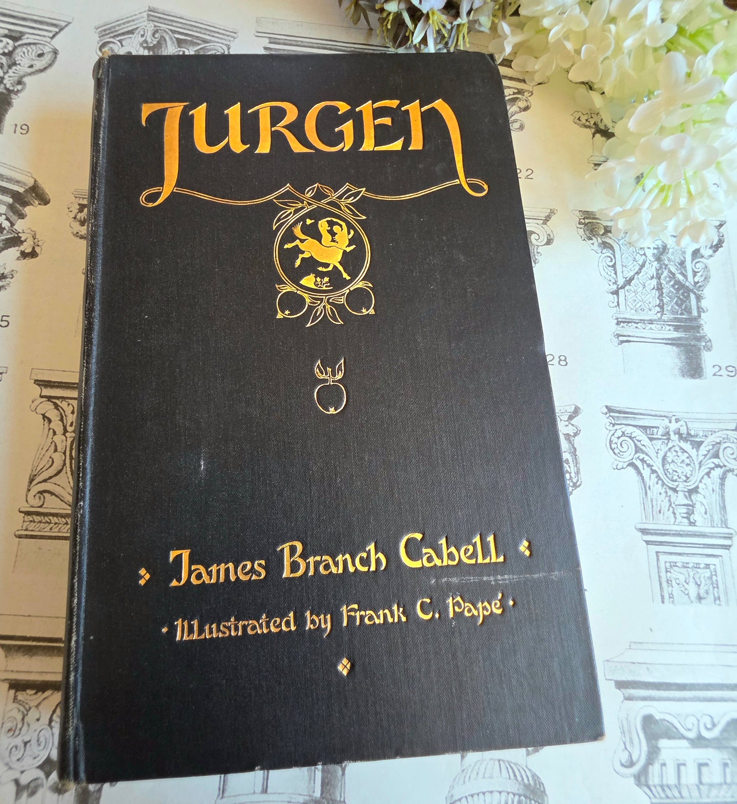 1921 Jurgen by James Brach Cabell / LIMITED EDITION Antique Book / Illustrations by Frank C. Papé