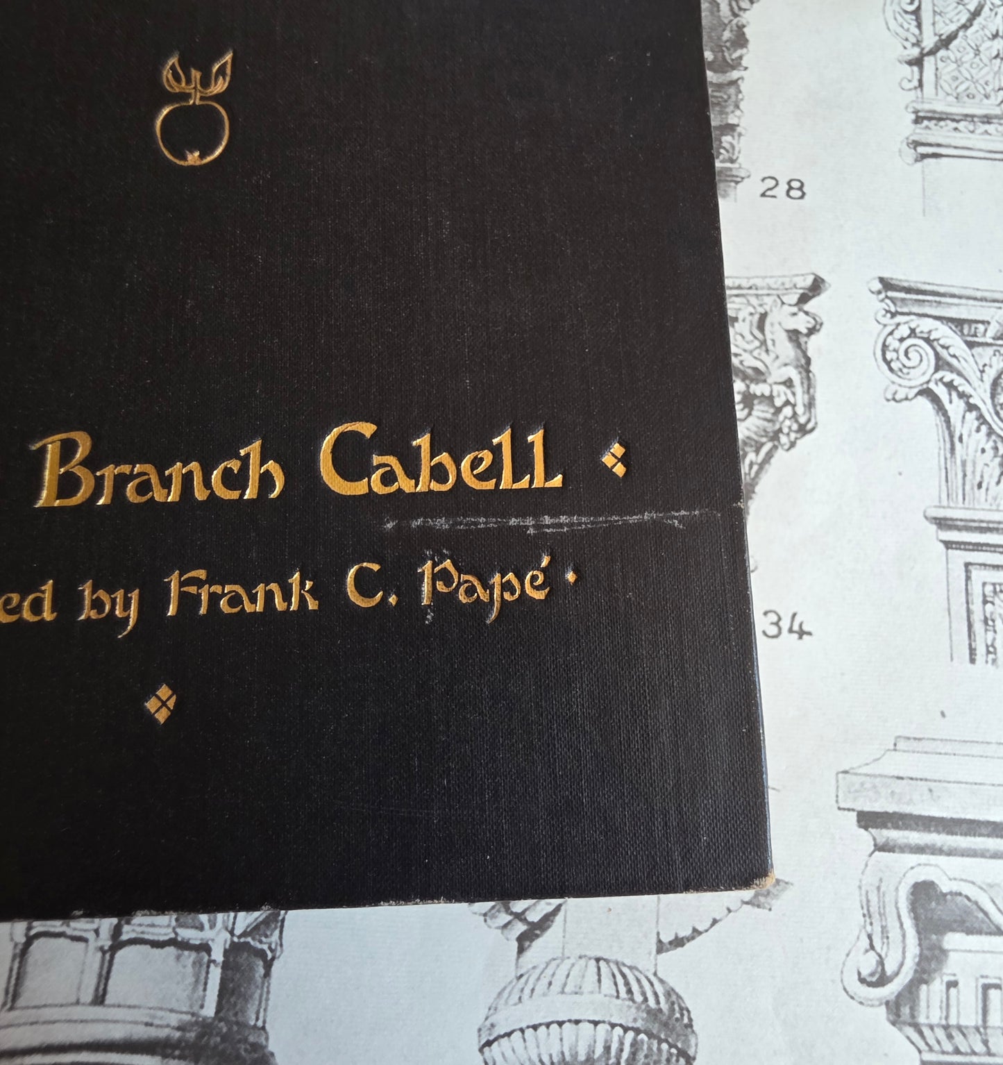 1921 Jurgen by James Brach Cabell / LIMITED EDITION Antique Book / Illustrations by Frank C. Papé
