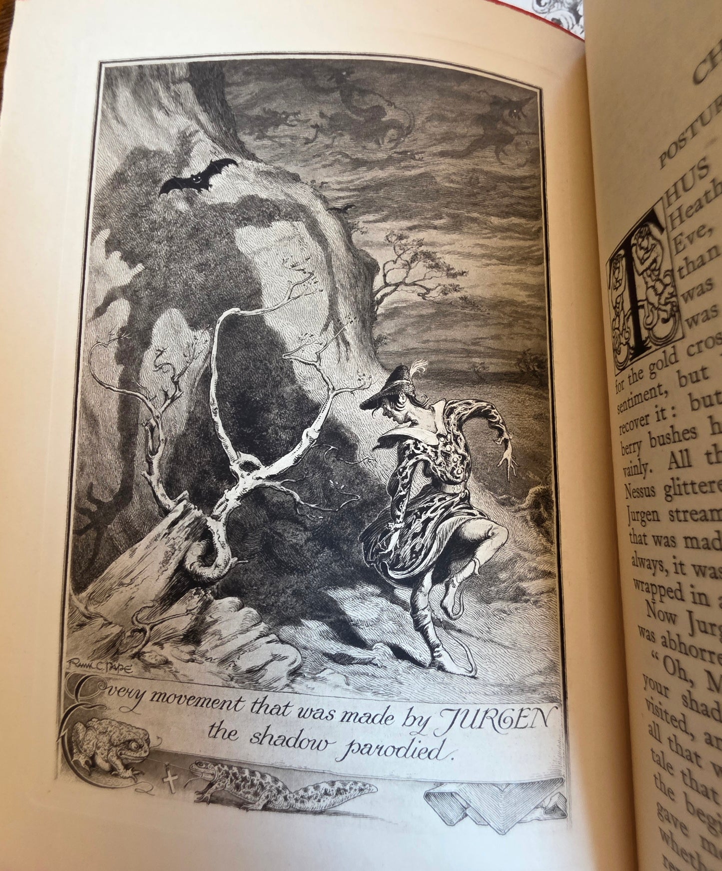 1921 Jurgen by James Brach Cabell / LIMITED EDITION Antique Book / Illustrations by Frank C. Papé