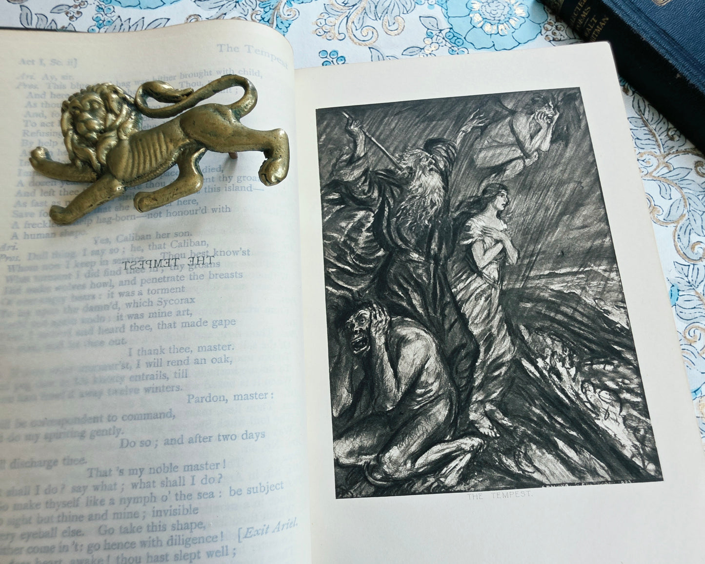 1911 Shakespeare's Comedies - Illustrated Antique Book